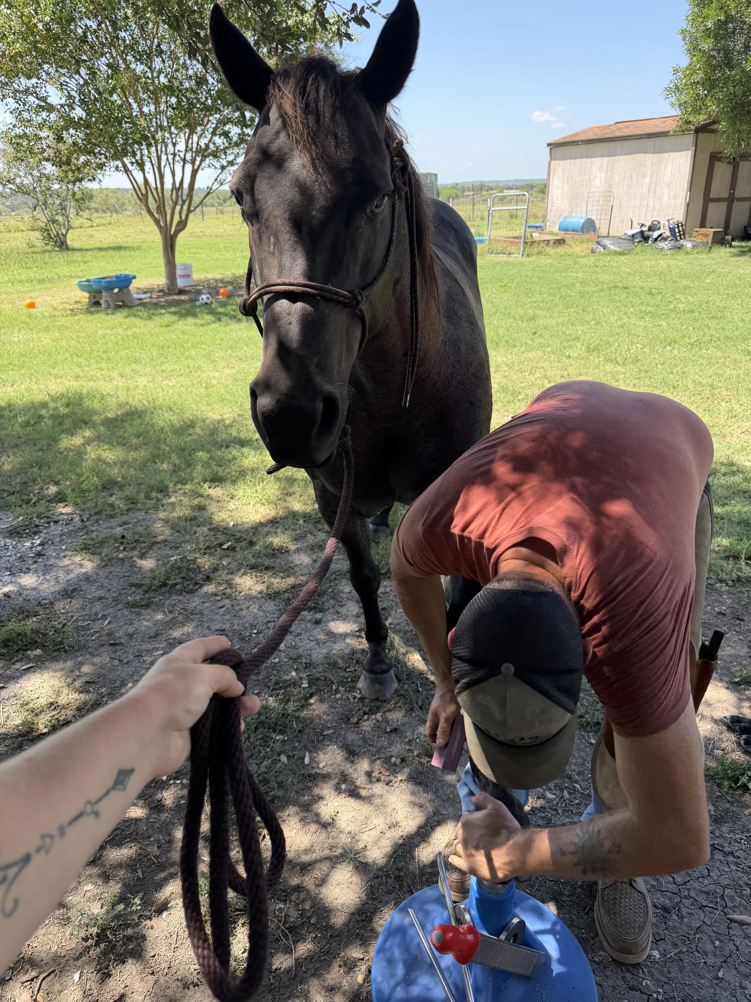 A man wearing a hat, is bending down next to a blue roan horse trimming the horse's hoof. While someone holds the lead rope attached to the horse's halter.