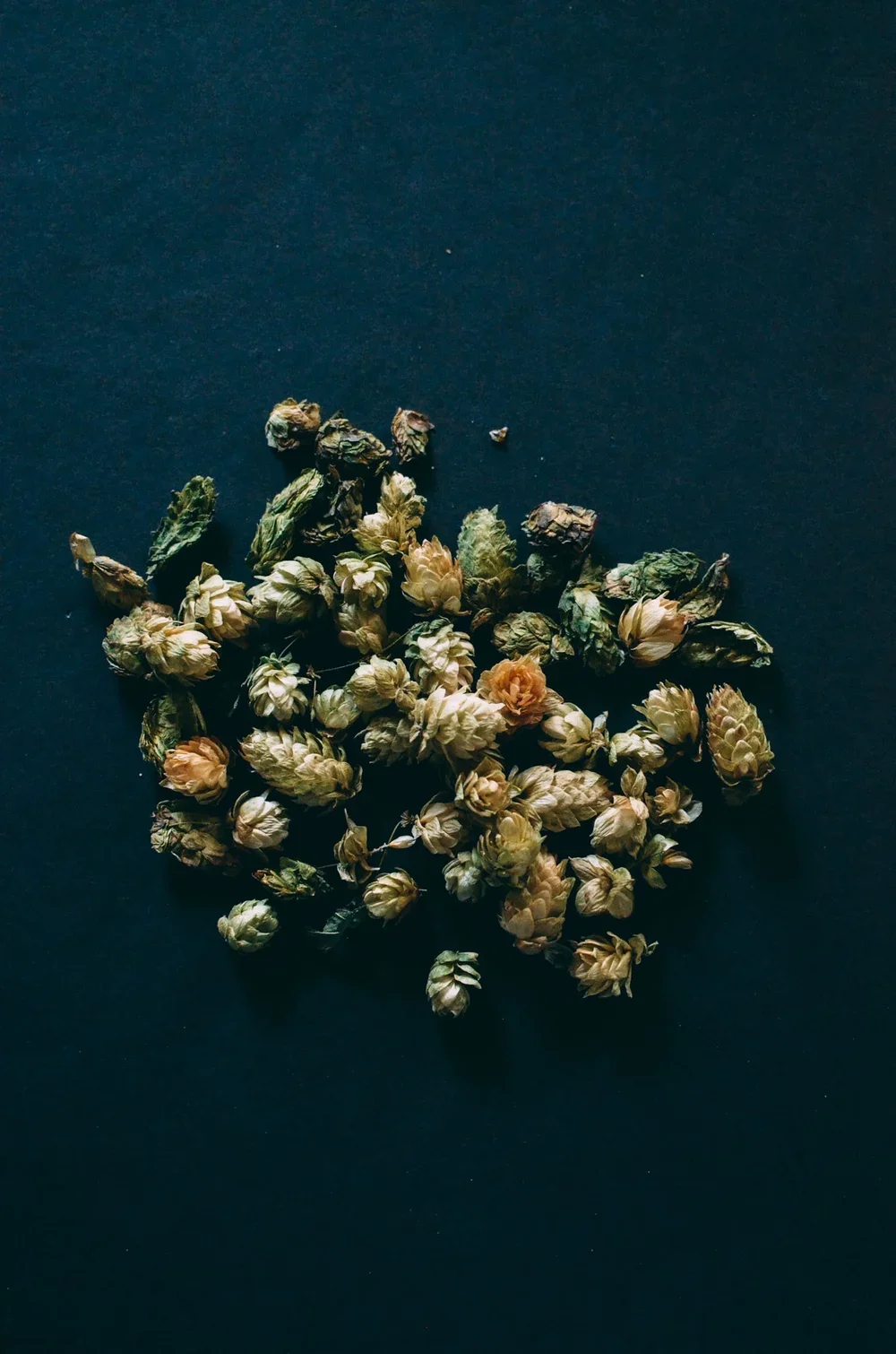 Damn_Handsome_Ingredients-17.webp