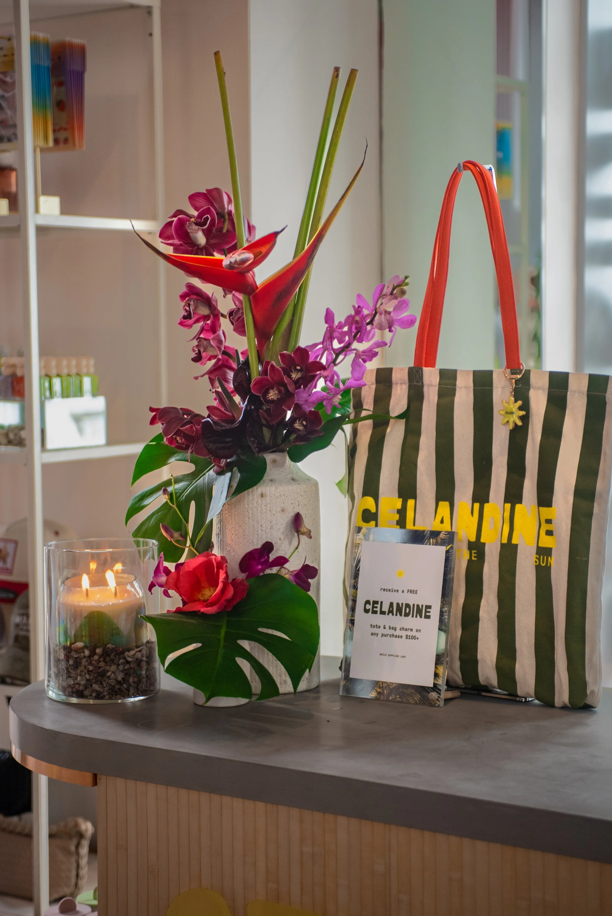 Anthropologie_Celandine_FaenaHotel_MiamiBeachSS25_PhotographerSusanBerry-28.jpg
