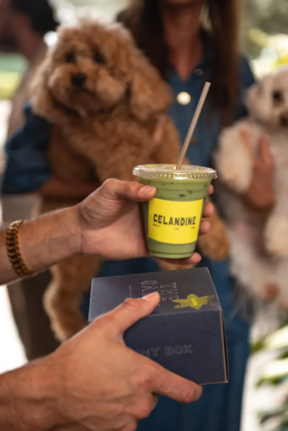 Anthropologie_Celandine_FaenaHotel_MiamiBeachSS25_PhotographerSusanBerry-48.webp