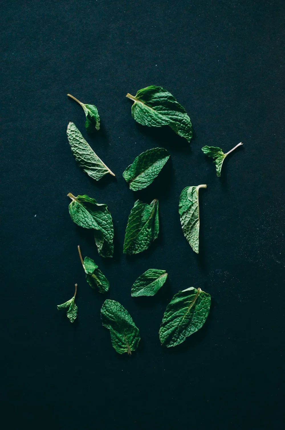 Damn_Handsome_Ingredients-13.webp