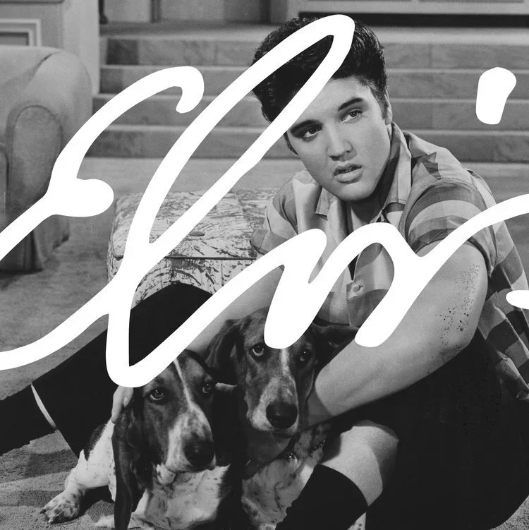 May+17+2022_+Elvis+Teaser+3+copy.webp
