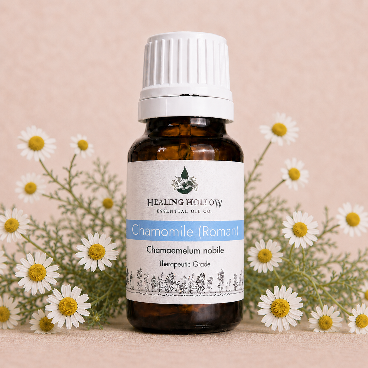 Chamomile, Roman Oil
