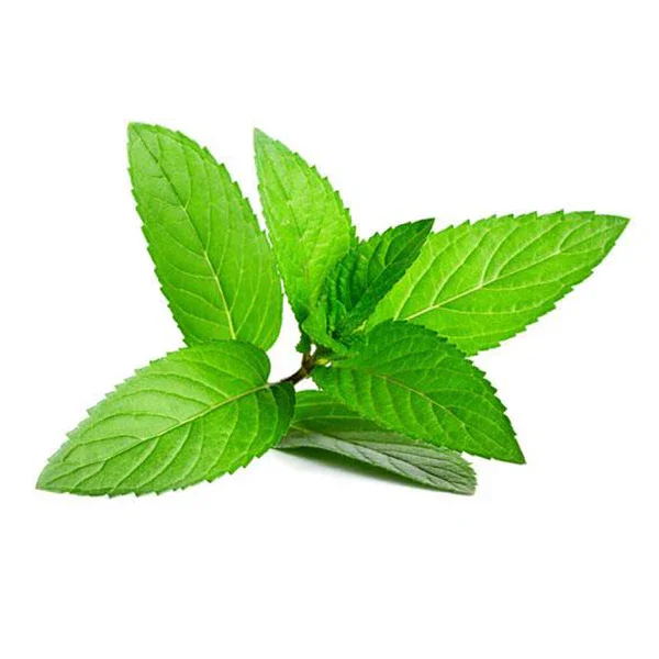 peppermint.webp