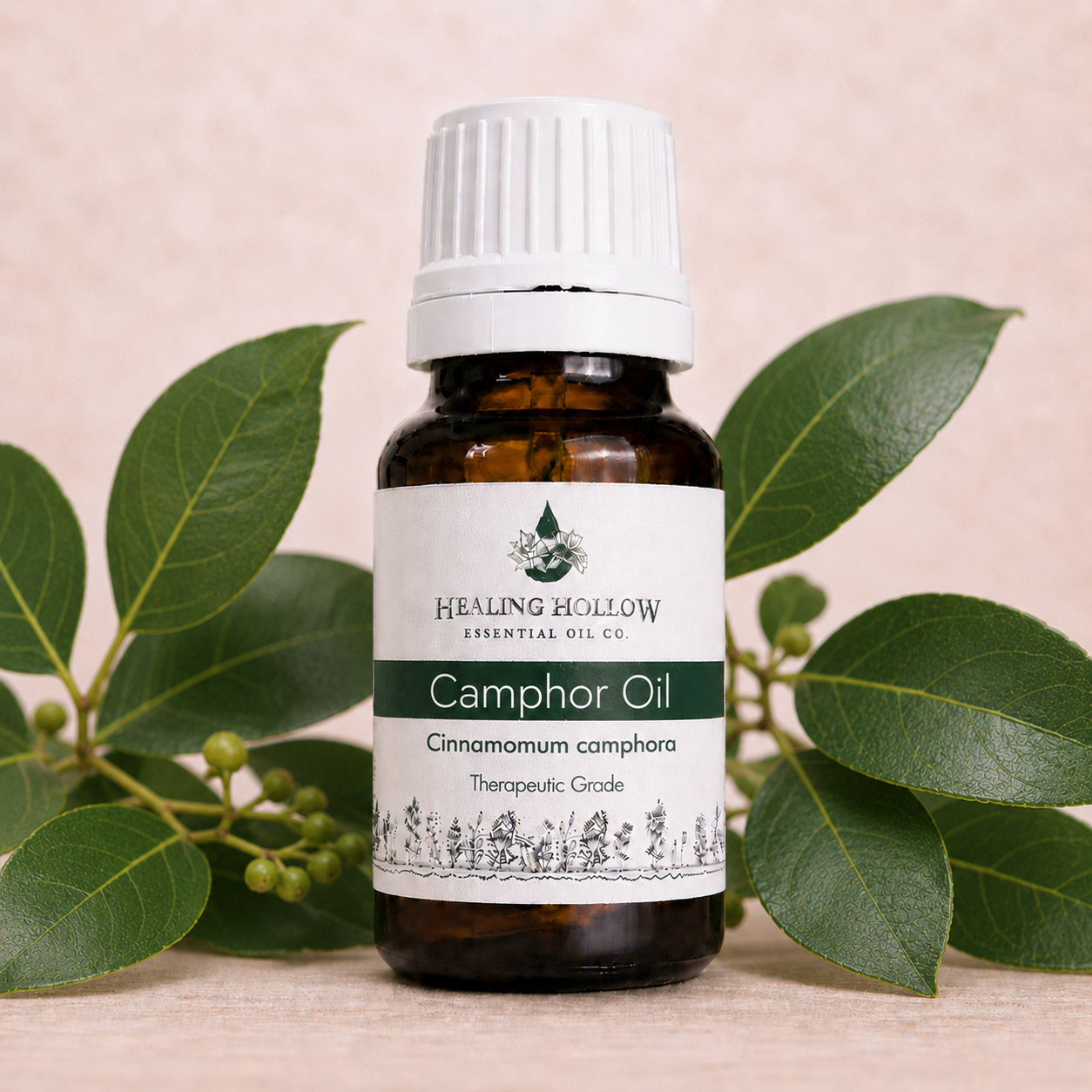 Camphor Oil.png