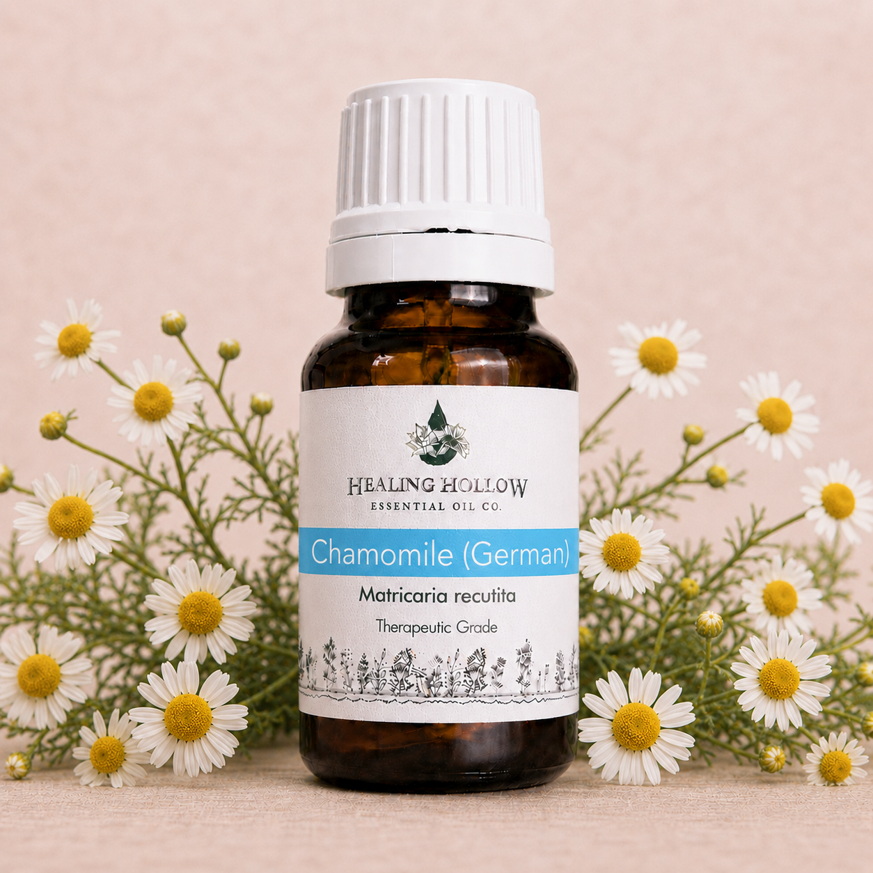 Chamomile, German Oil