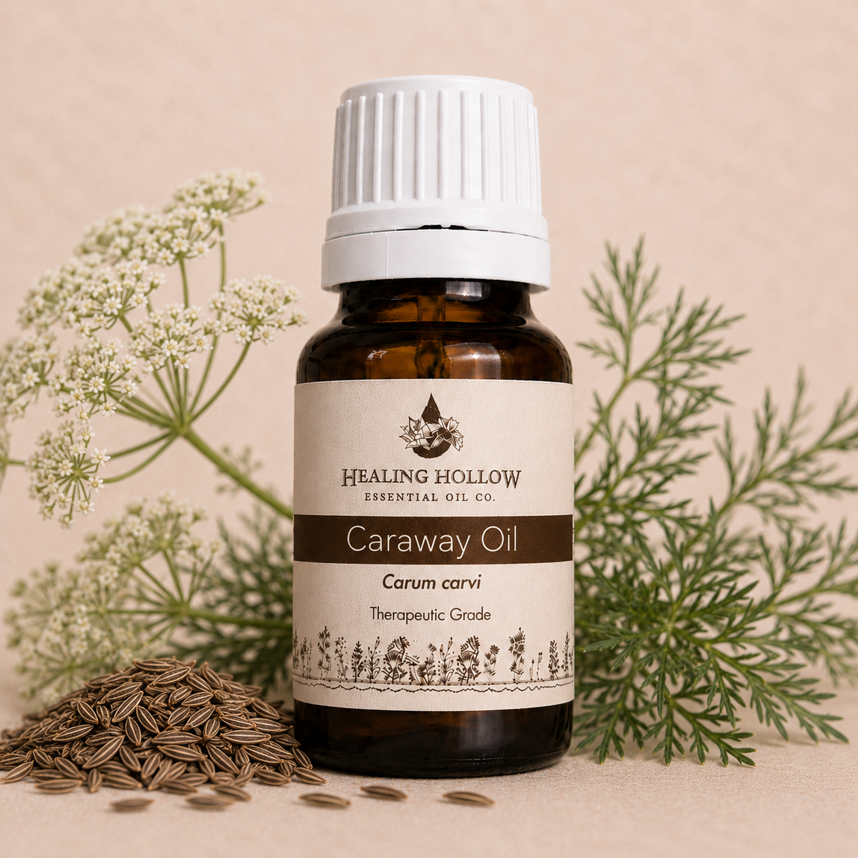 Caraway Oil