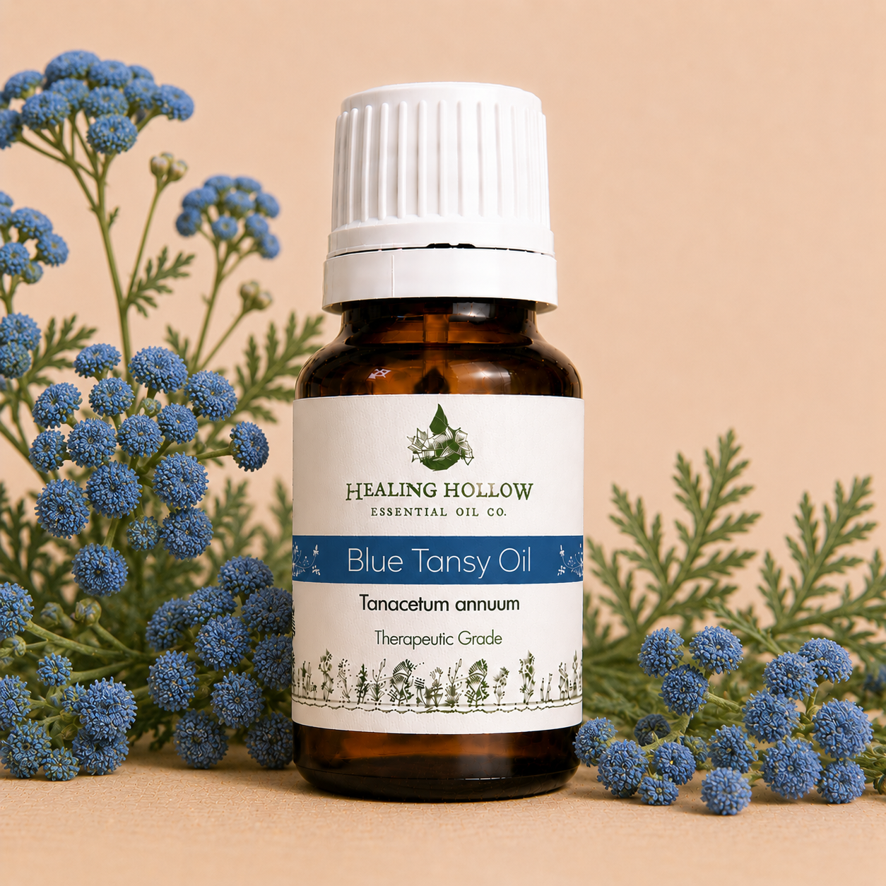 Blue Tansy Oil