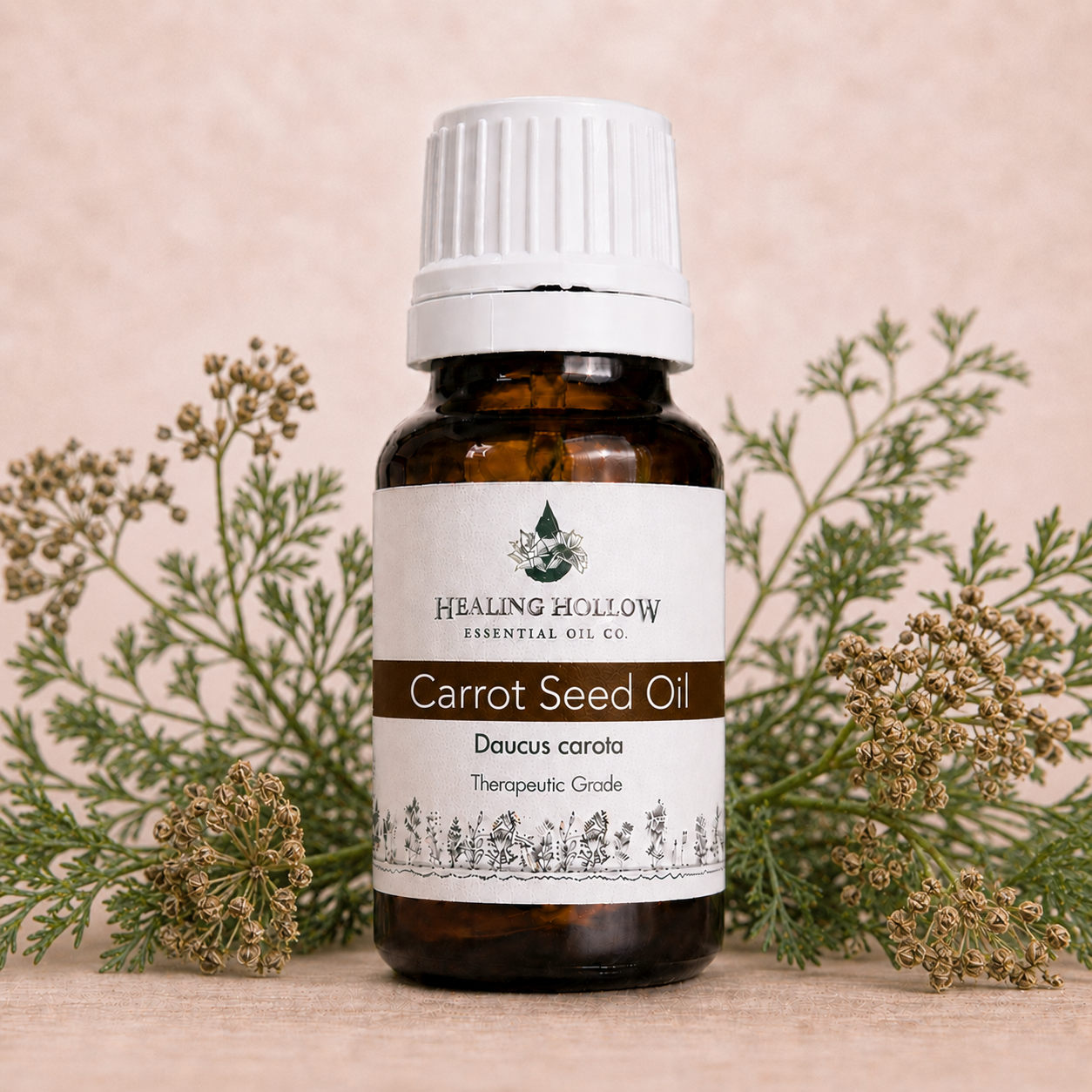 Carrot seed Oil.png