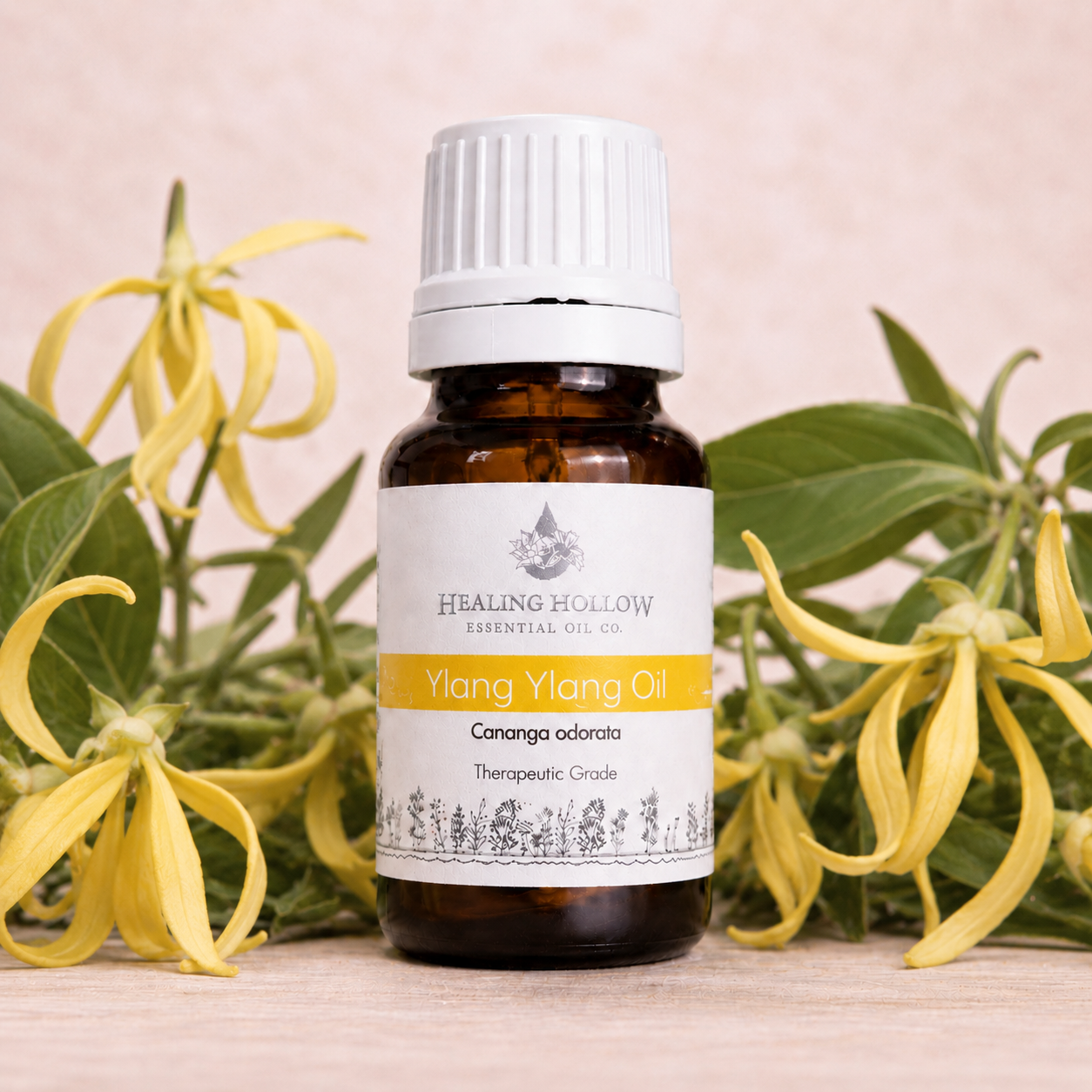 Ylang Ylang OIl.png