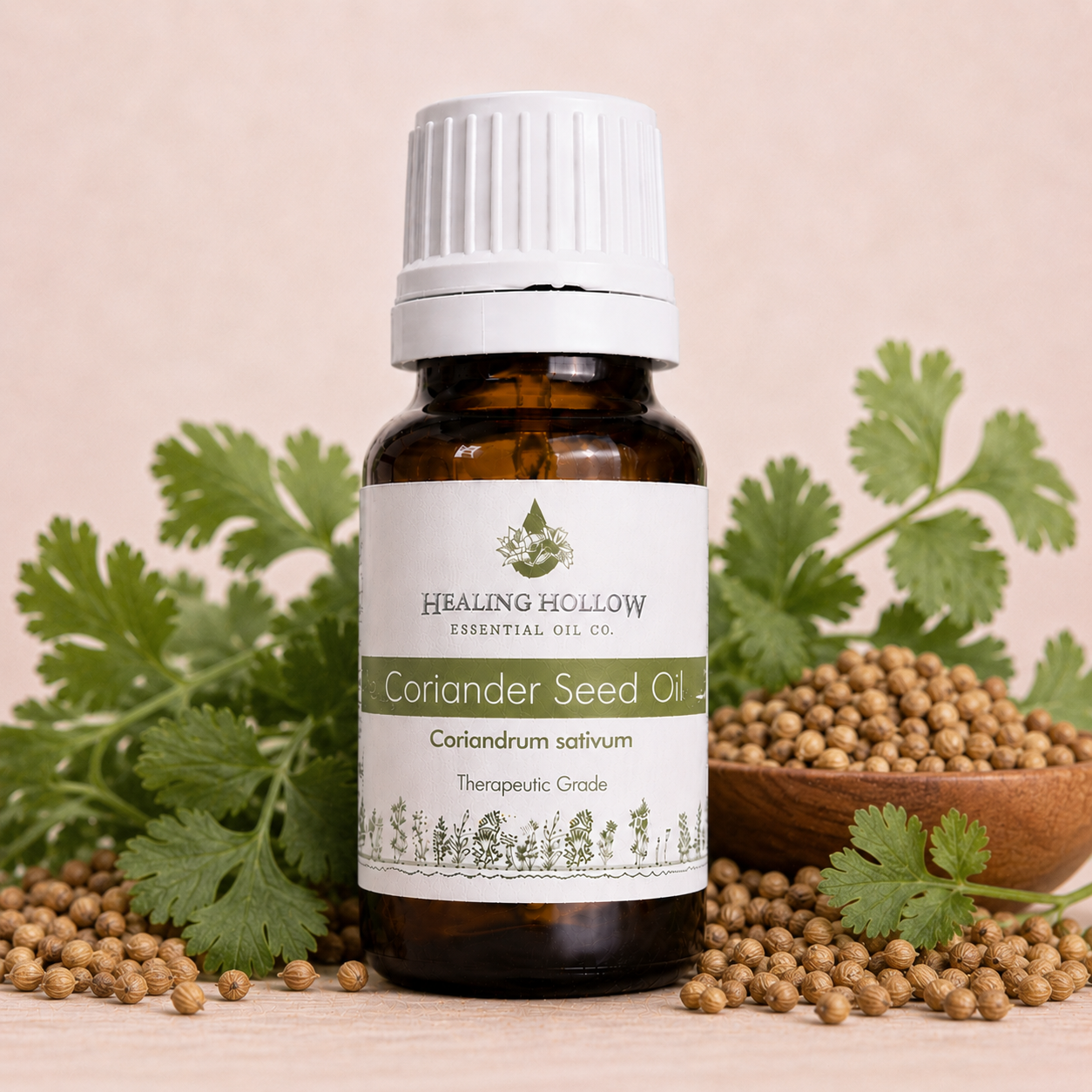 Coriander Oil