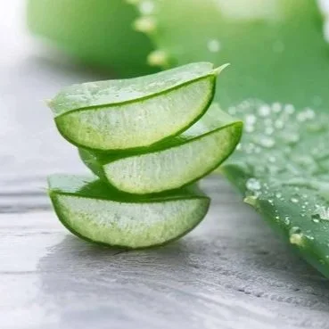 aloe-vera-blog.jpg