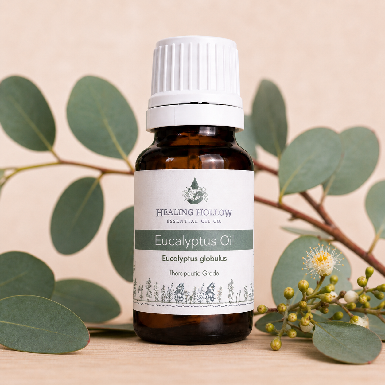 Eucalyptus (Globulus) Oil