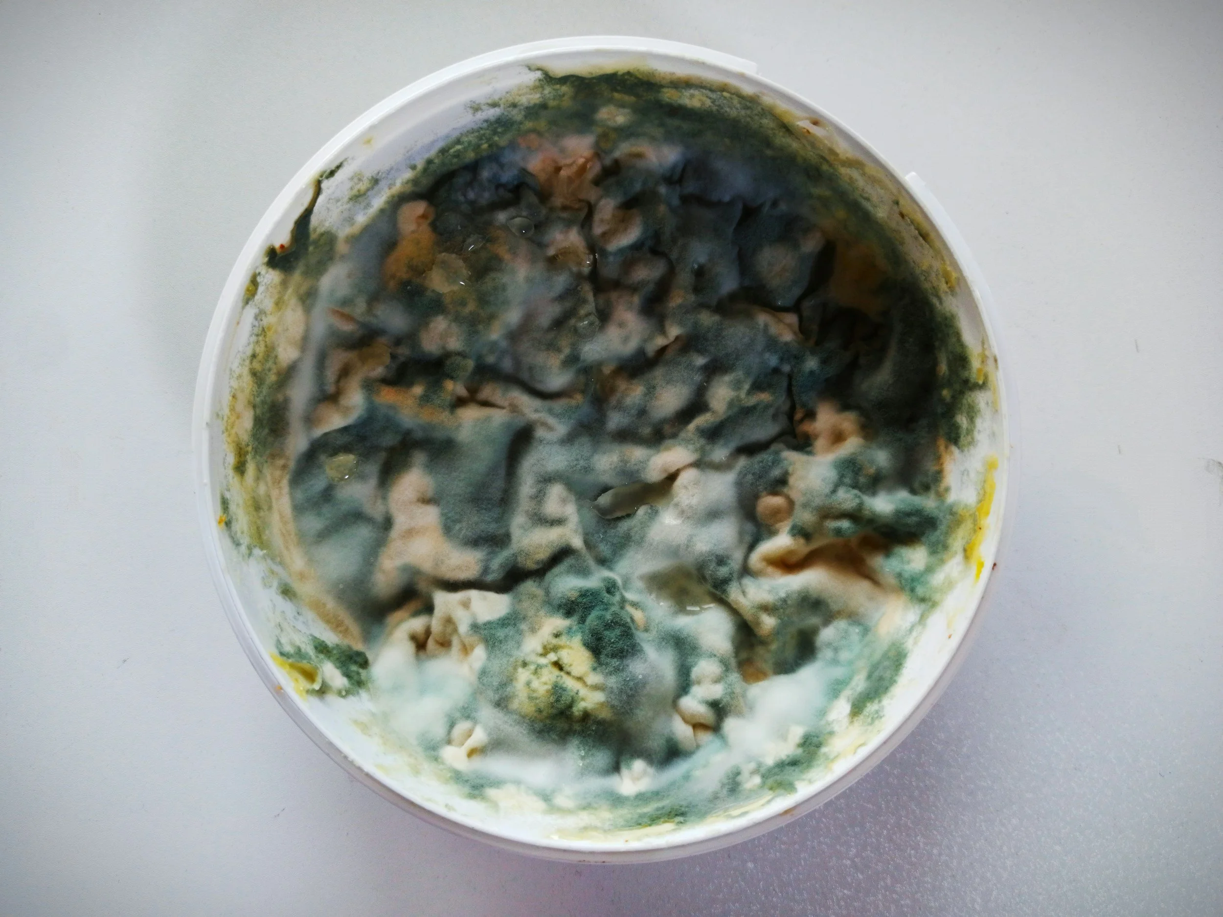 Top view of a container with moldy, spoiled food or substance, showing green, black, and brown patches.