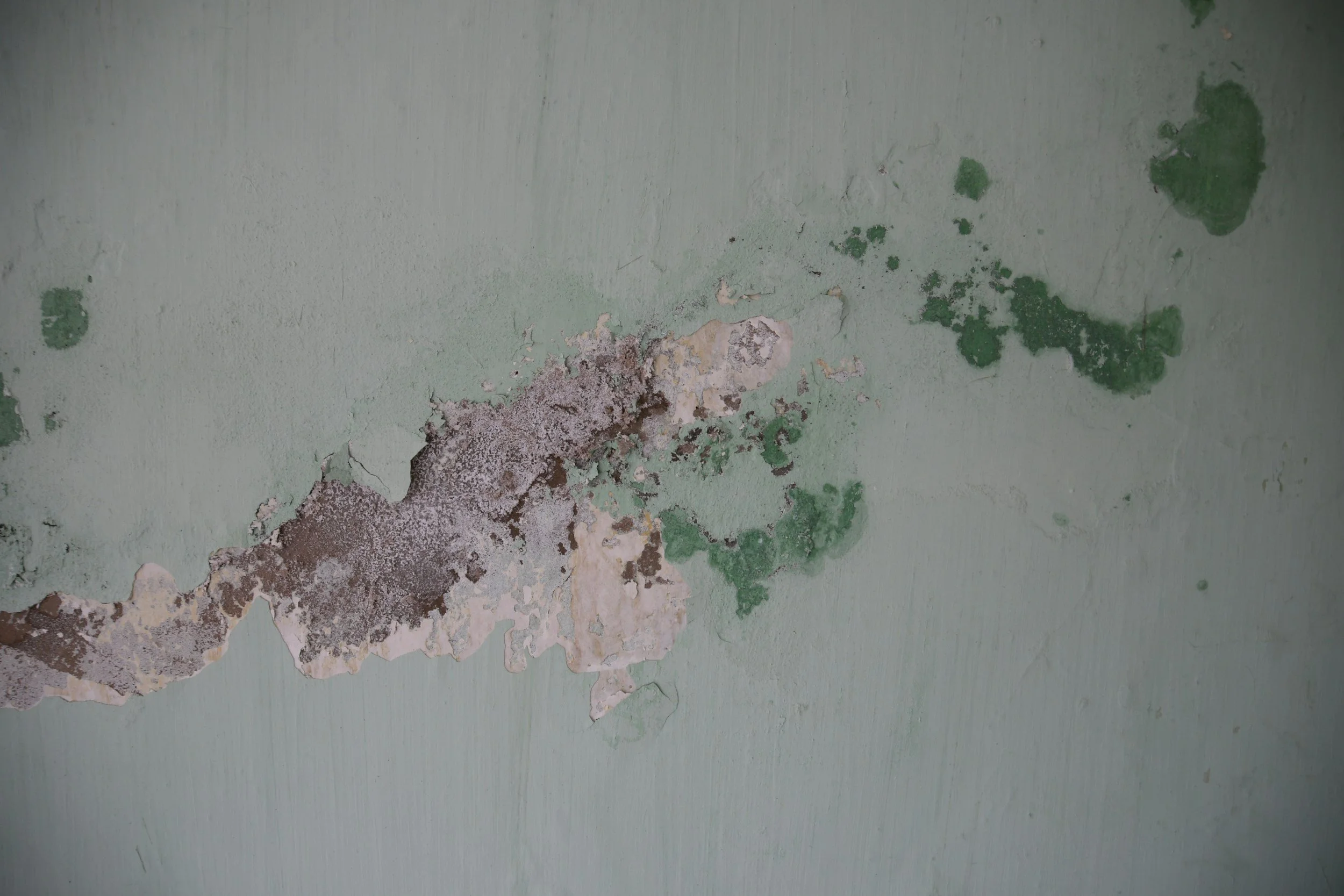 Peeling green paint on a wall revealing layers of old paint and drywall underneath.