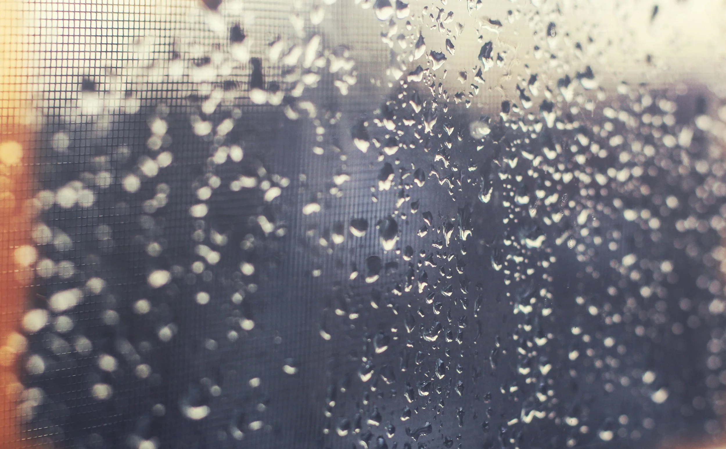 Close-up of a window screen with water droplets on it, with a blurred background and warm sunlight.