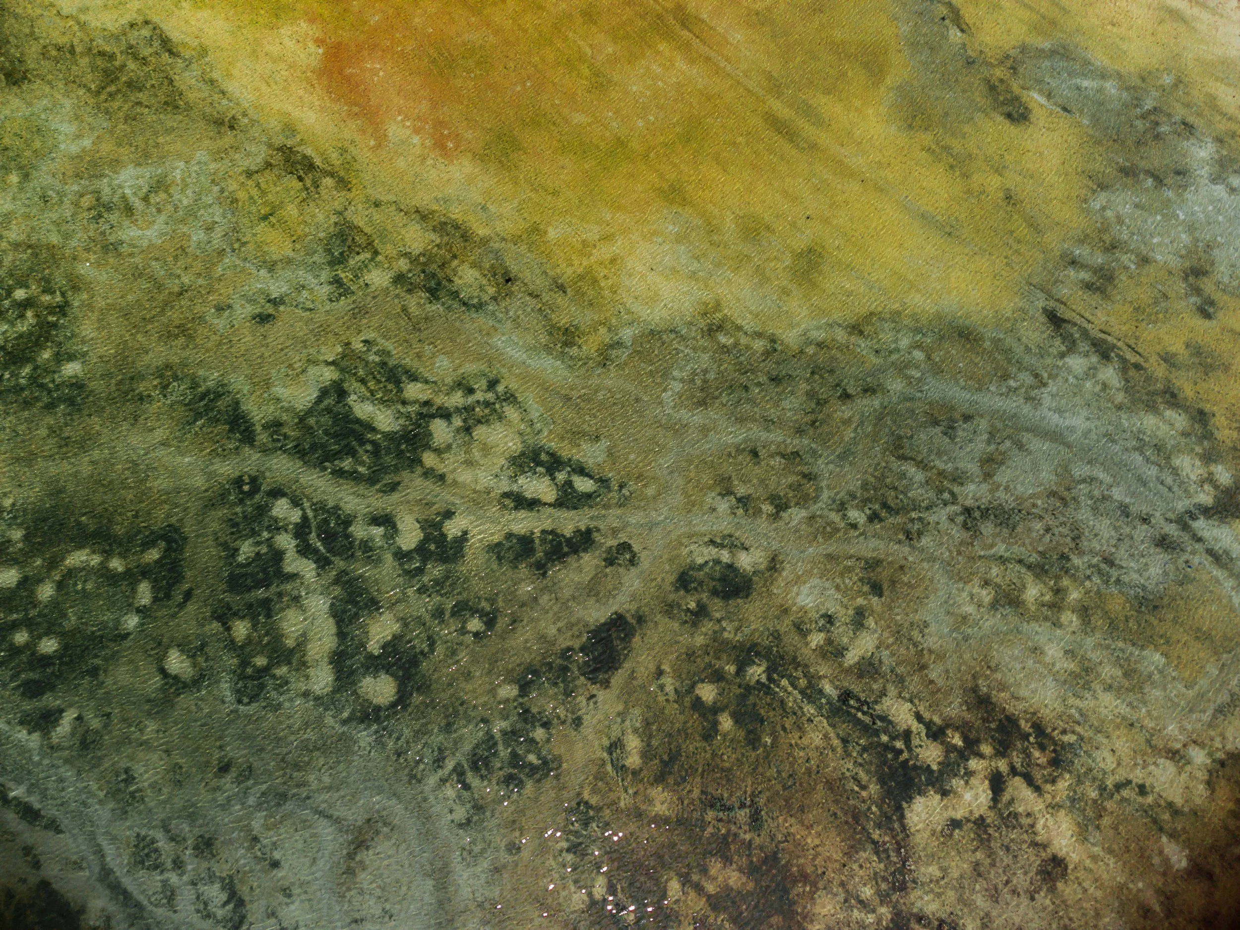 Close-up of a textured, multicolored surface with shades of green, yellow, and black, featuring irregular patterns and markings.