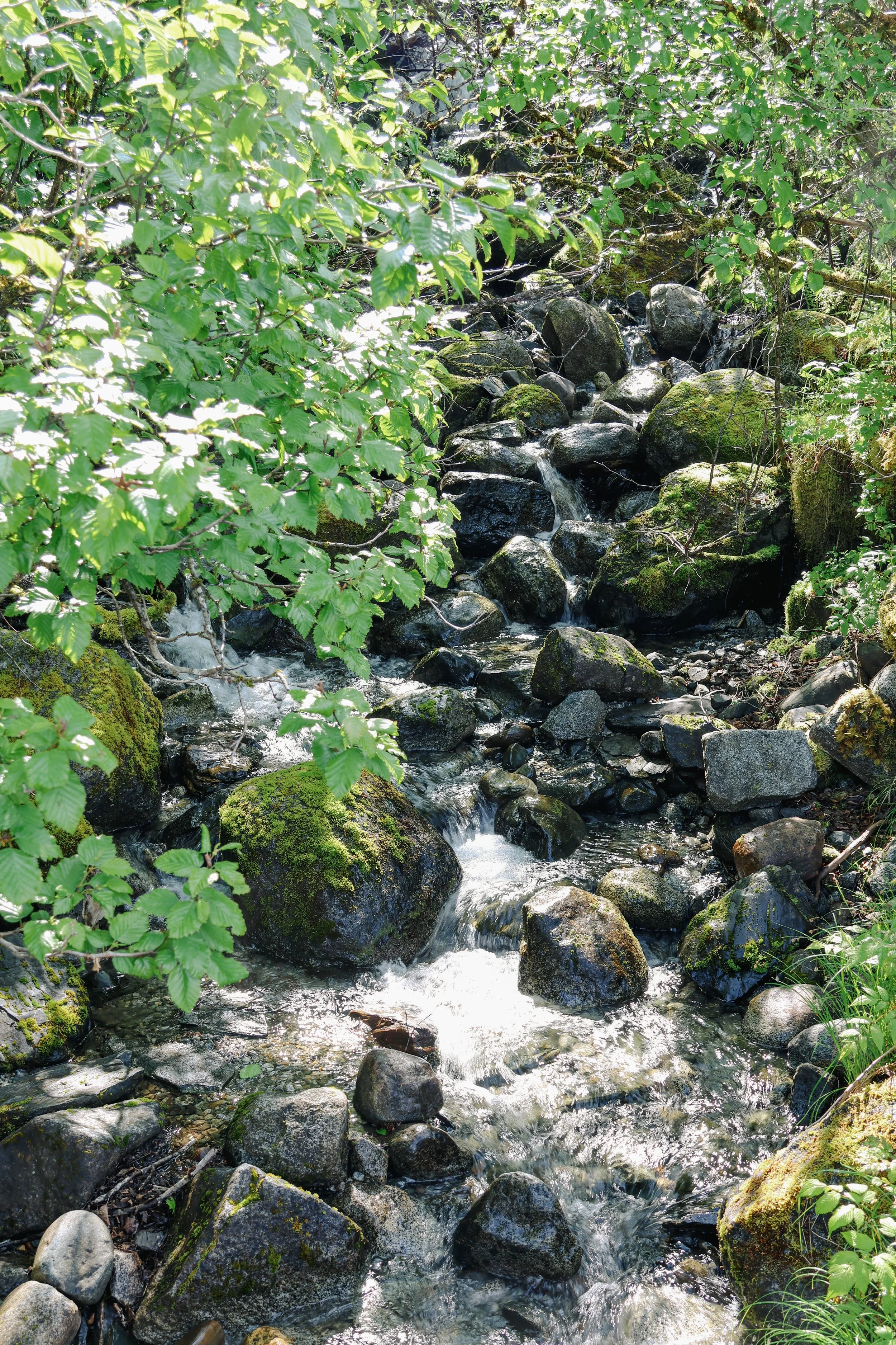 Oestreich_Collin_032126-06 3.JPG