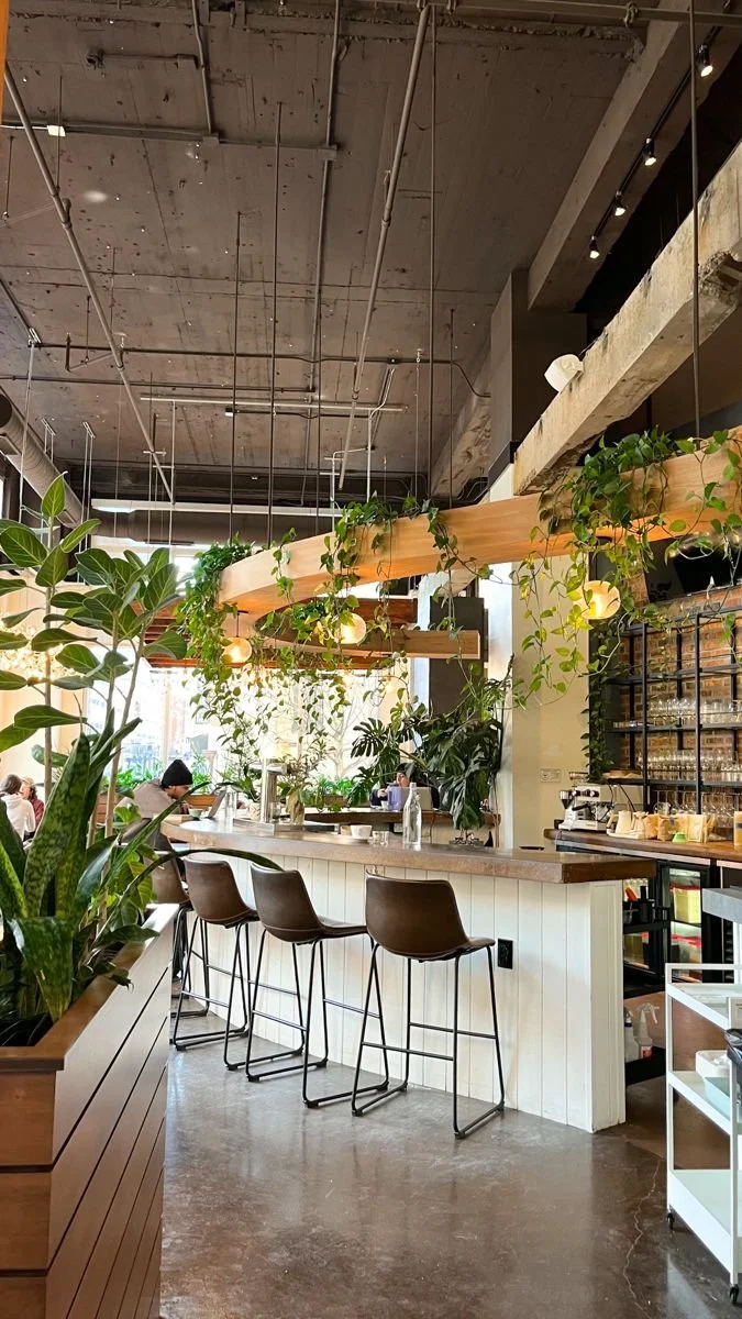 Interior of a modern cafe with a bar counter, bar stools, and green plants hanging from overhead beams.