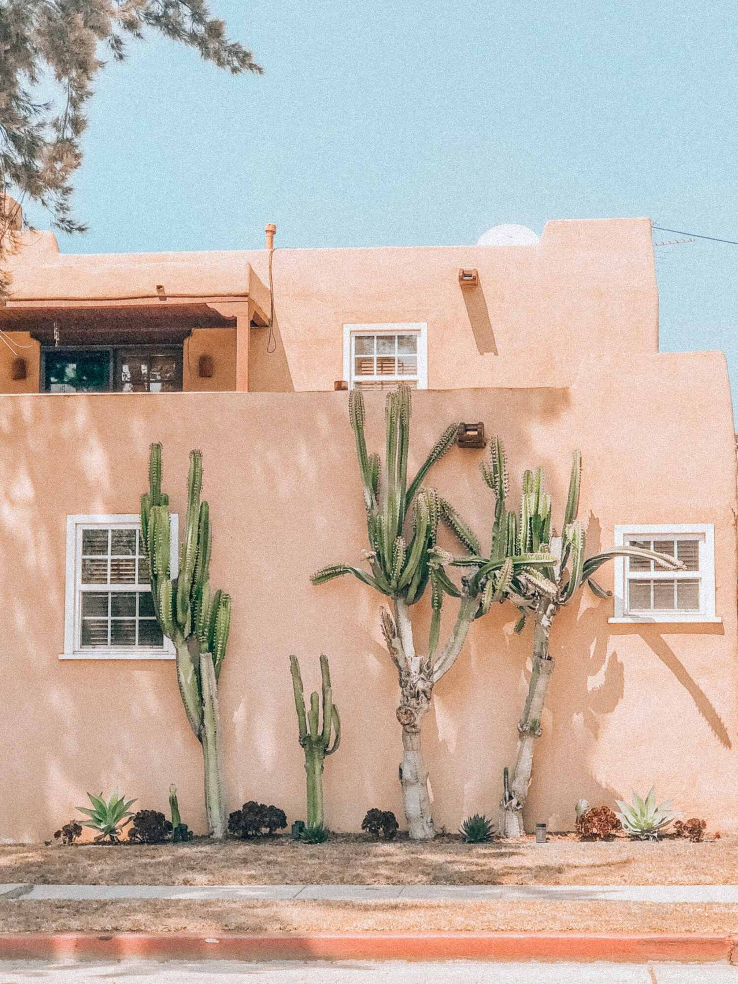 ventura38.jpg