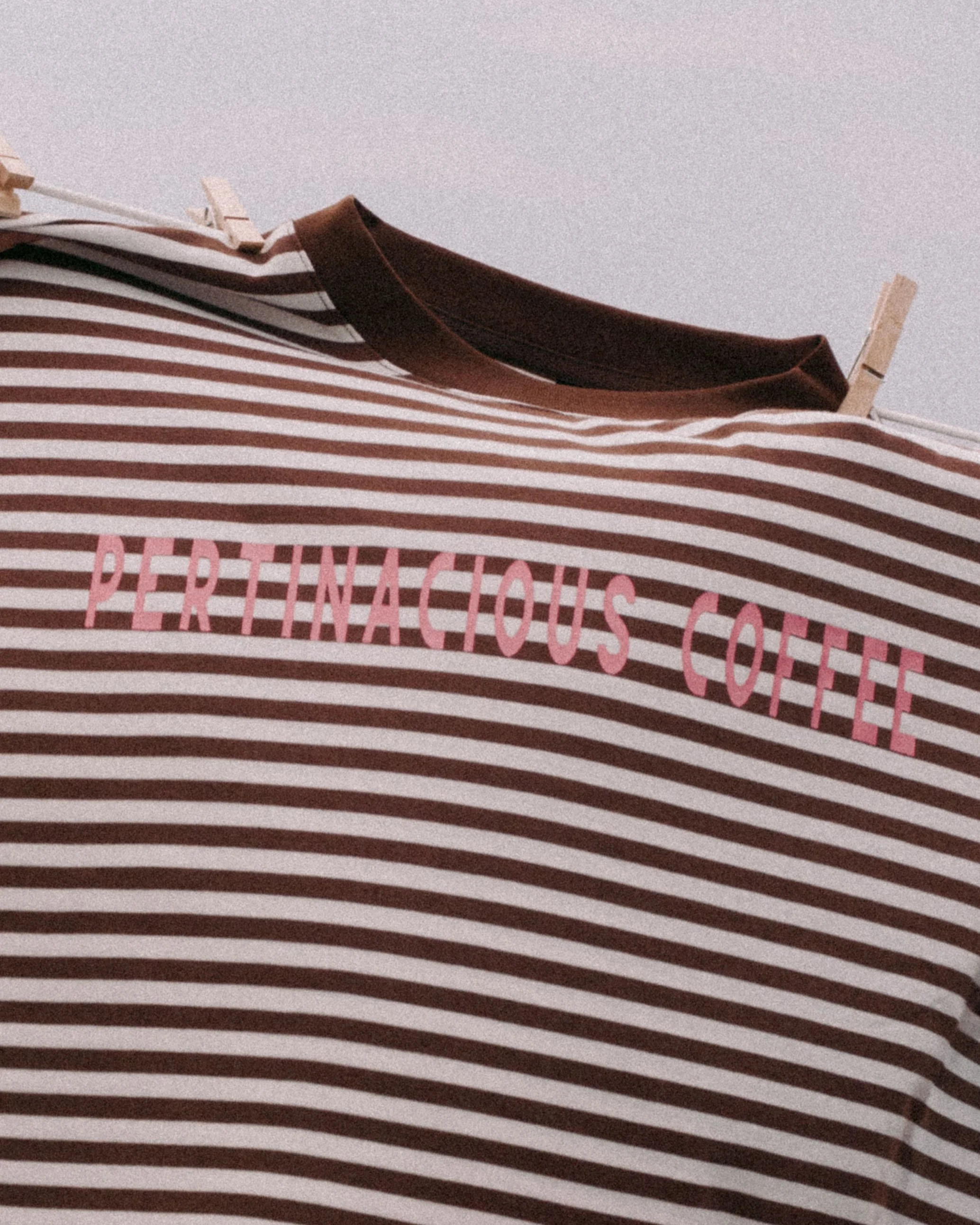 DSC02781BB.JPG