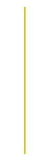 A vertical yellow bar with a small black arrow pointing upward at the top.