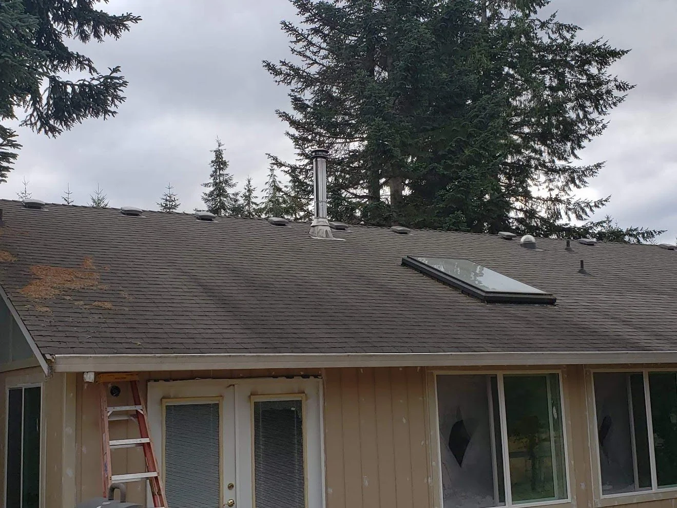 roof.jpeg