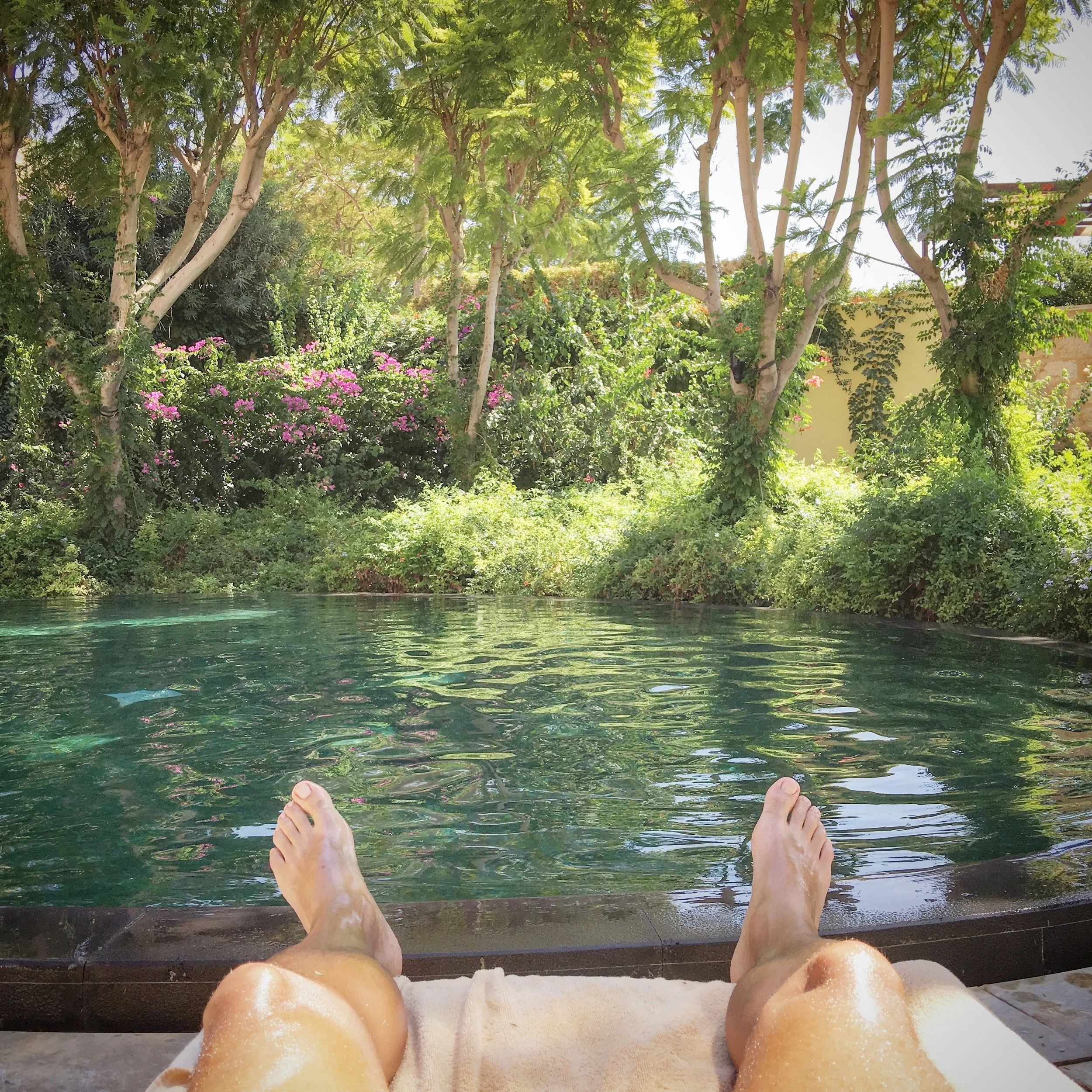 A person relaxing in a pool with their feet resting on a ledge, overlooking lush green trees and pink flowering bushes.