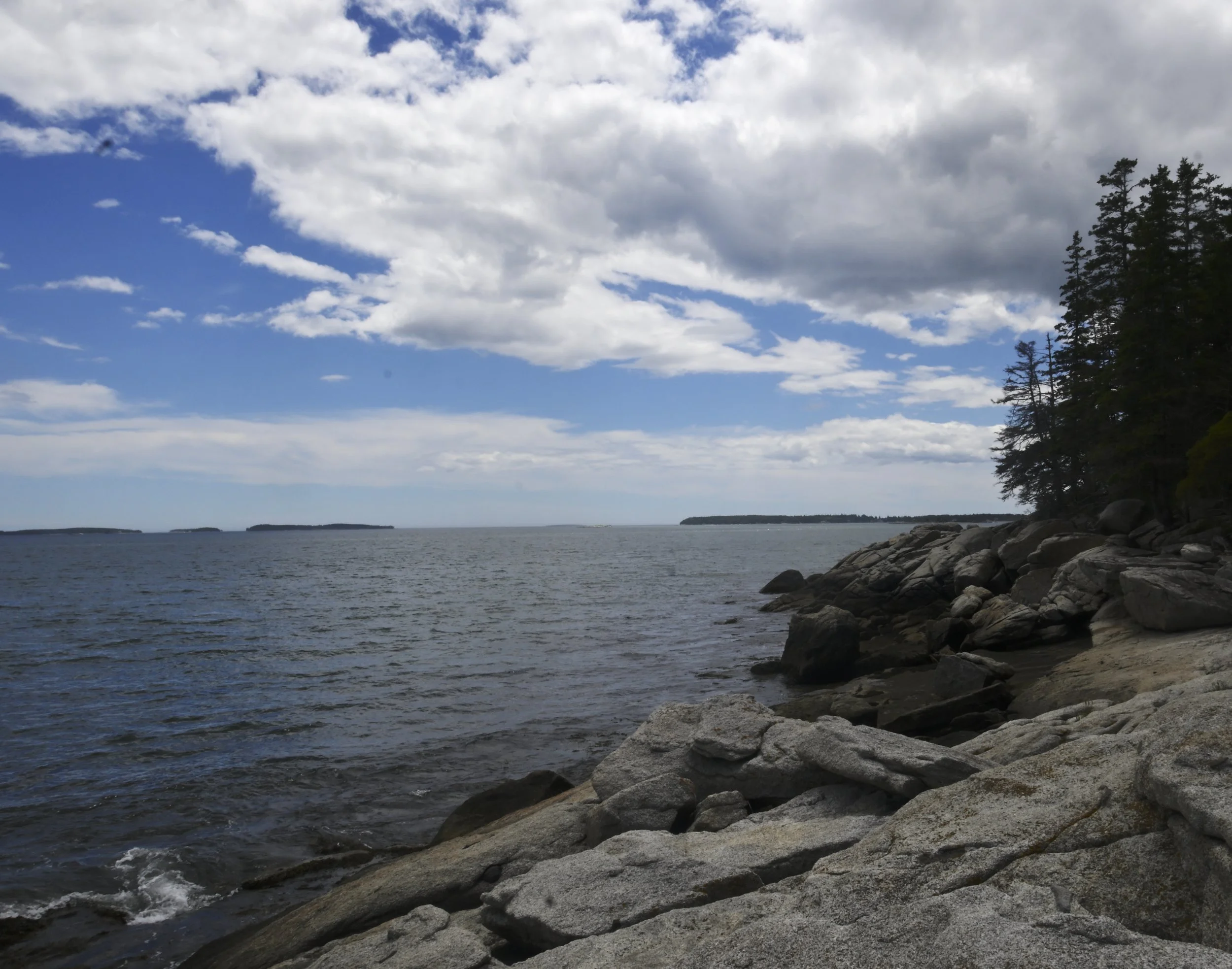 _DSC7695.JPG