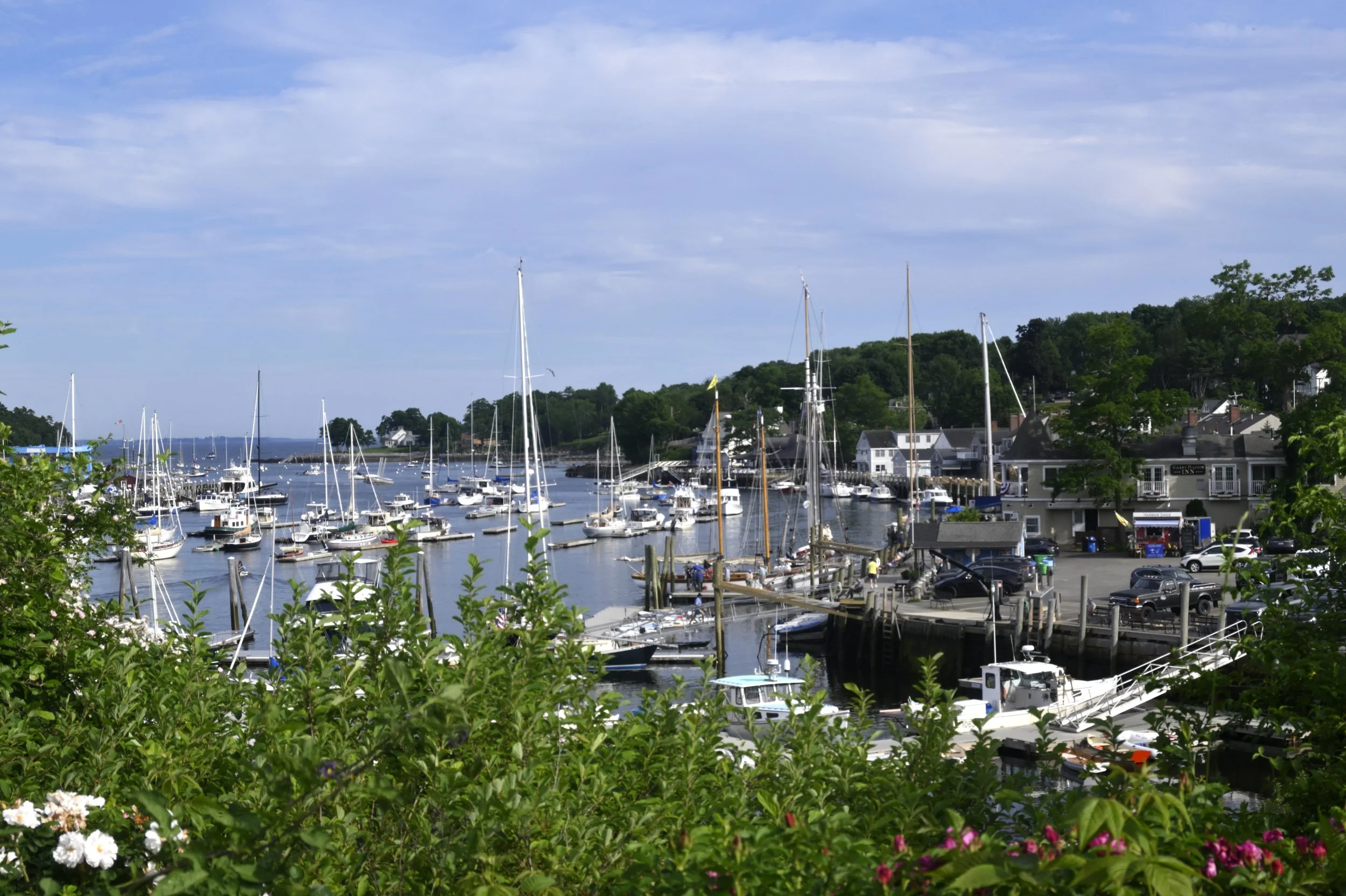 _DSC8227.JPG