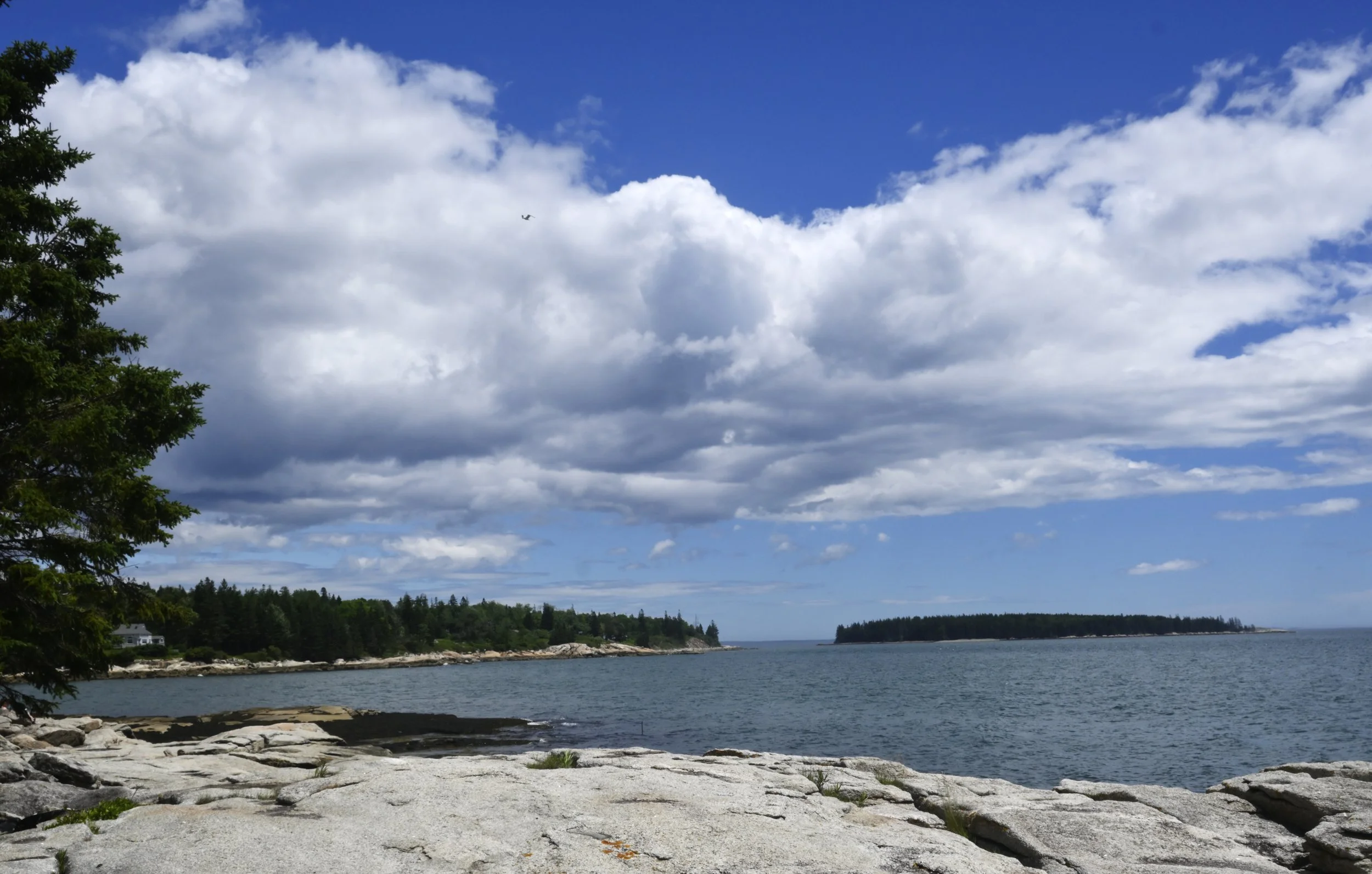 _DSC7666.JPG