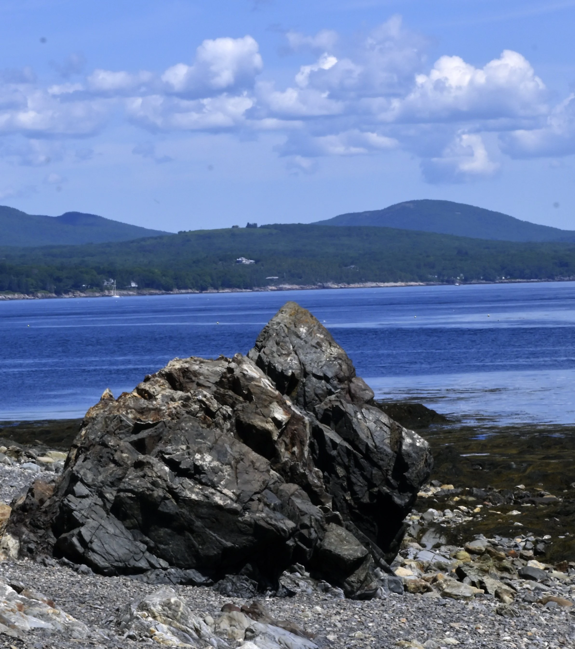 _DSC7603.JPG