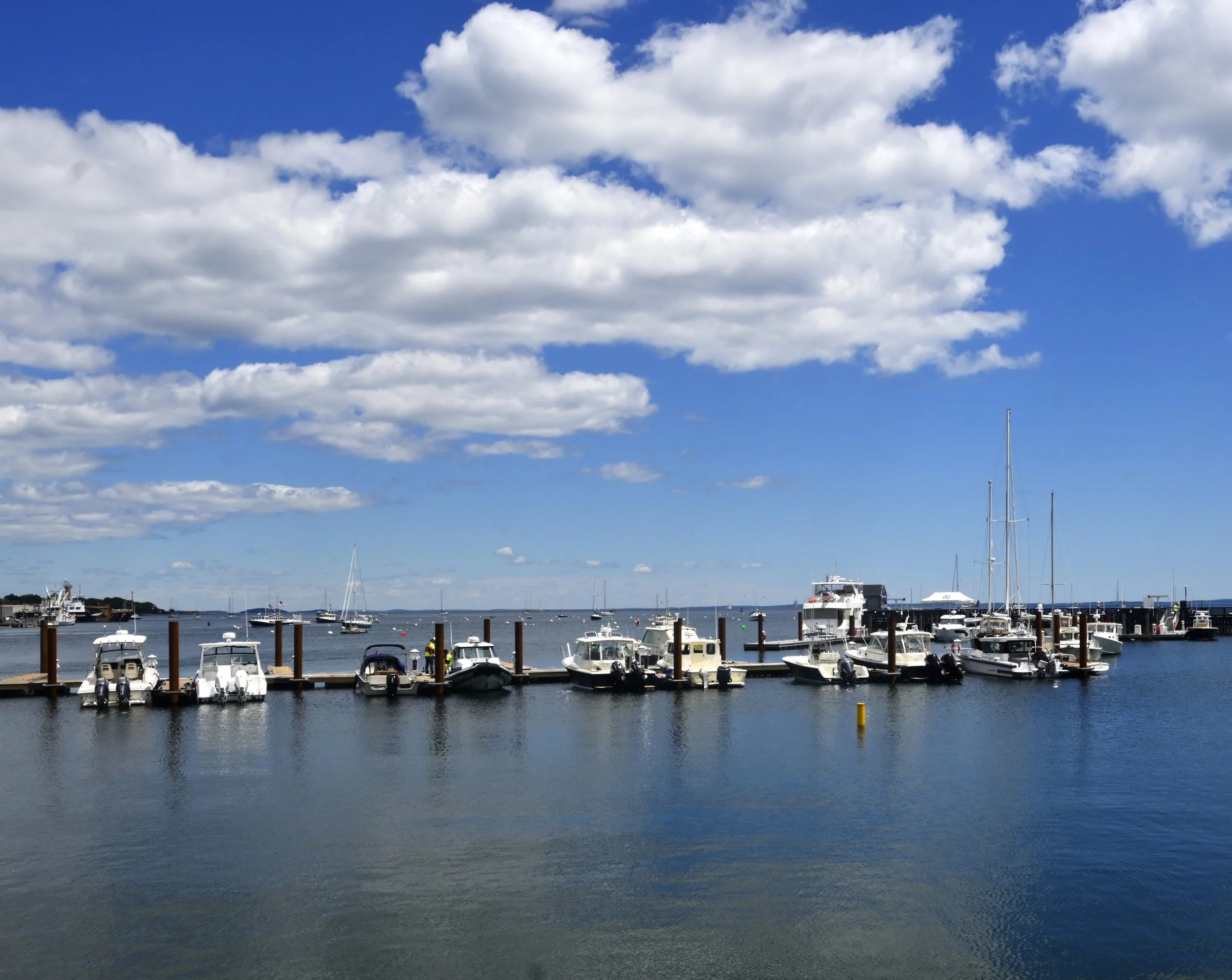 _DSC7549.JPG