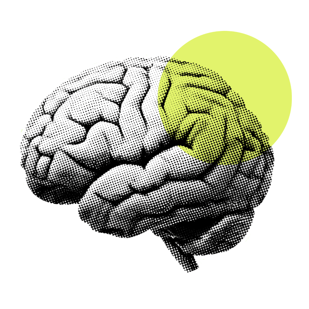 A stylized, black-and-white halftone illustration of a human brain, with a yellow oval shape overlapping the right side.