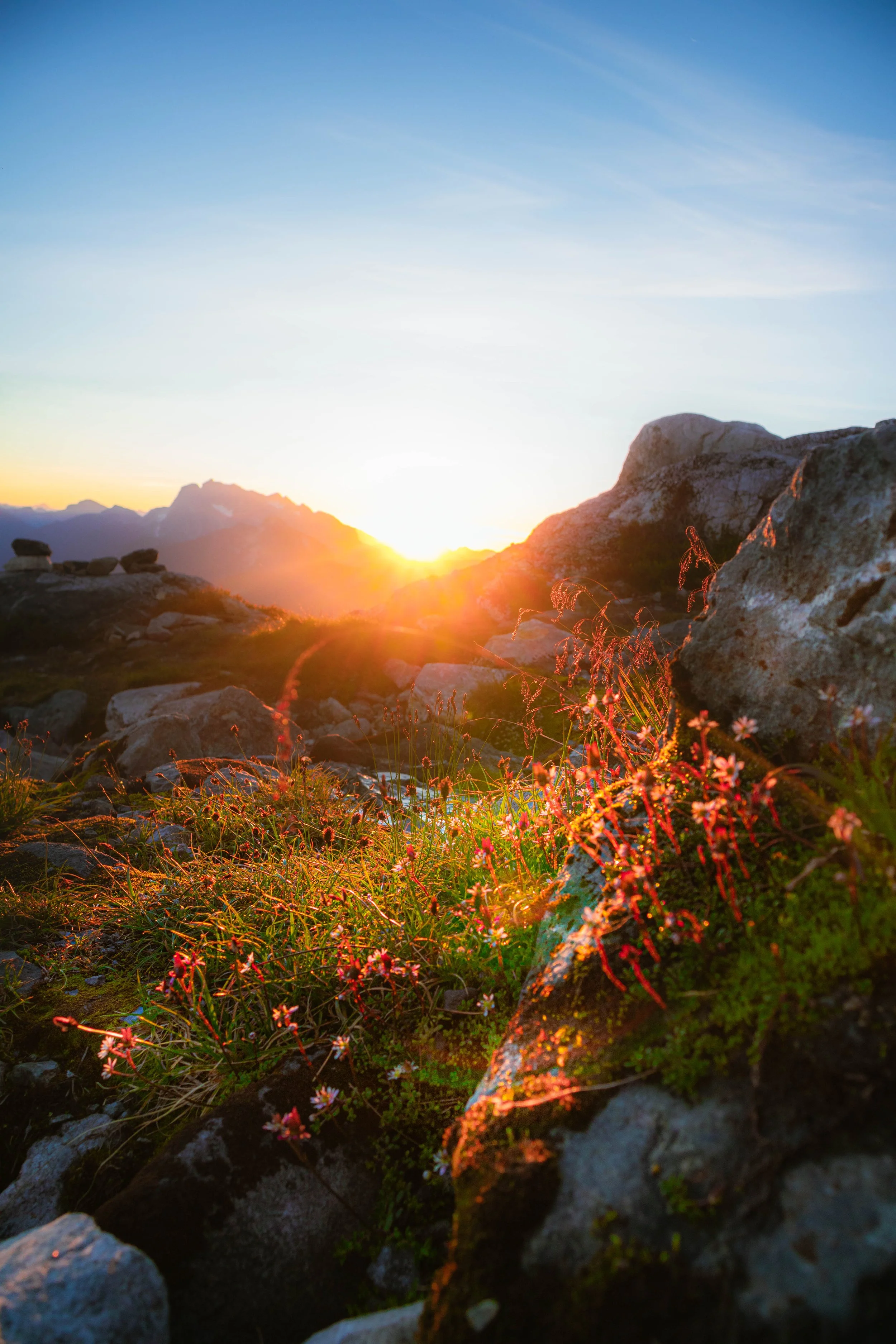 Sunset over rocky mountain landscape with wildflowers and greenery in the foreground.