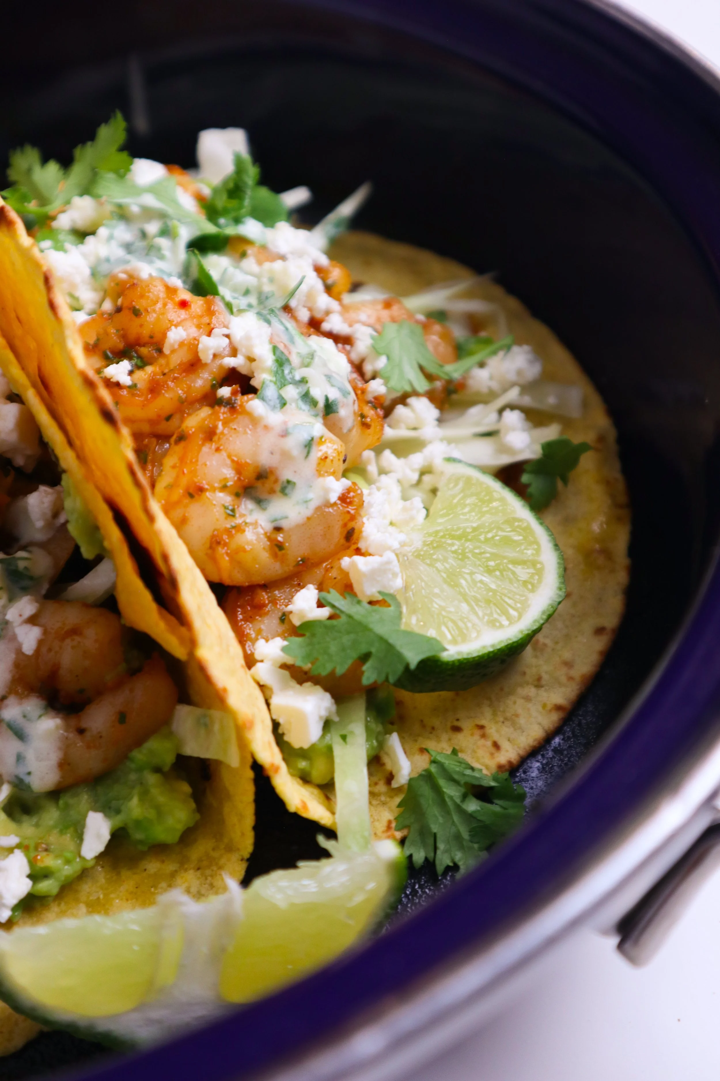 shrimp-11.jpg