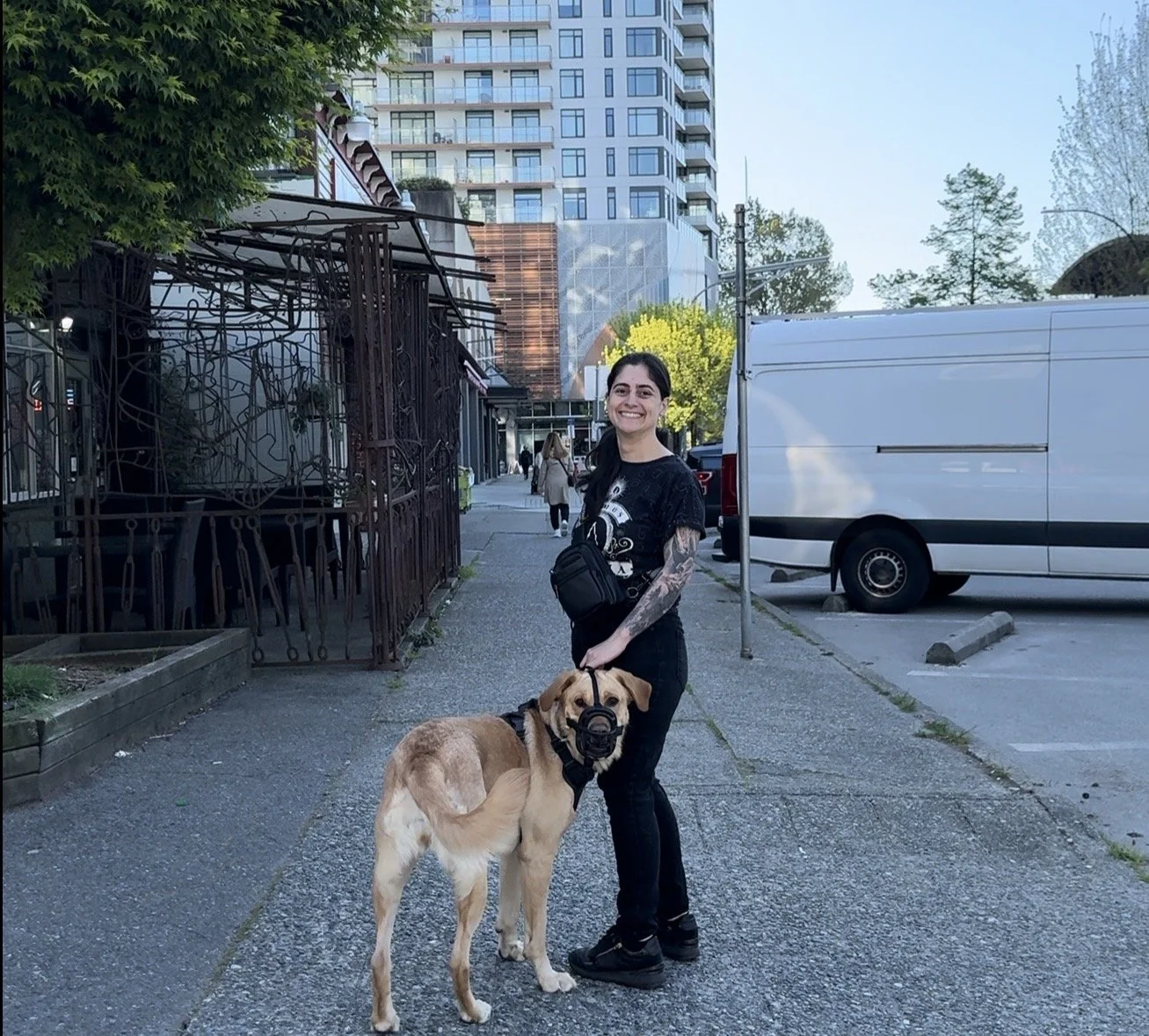 Calm Canine Care's Trainer, handling a large dog wearing a muzzle,during a walk in the Board & Train program
