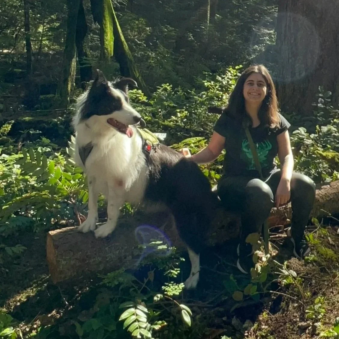 Mulher sorrindo sentada em uma árvore caída na floresta, acompanhada por um Border Collie preto e branco que está na árvore.