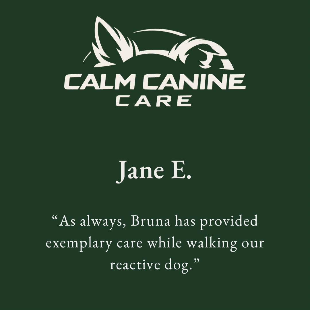 Logotipo de Calm Canine Care com símbolo de uma cabeça de cachorro em estilo minimalista, fundo verde escuro, texto com nome e uma citação de Jane E.