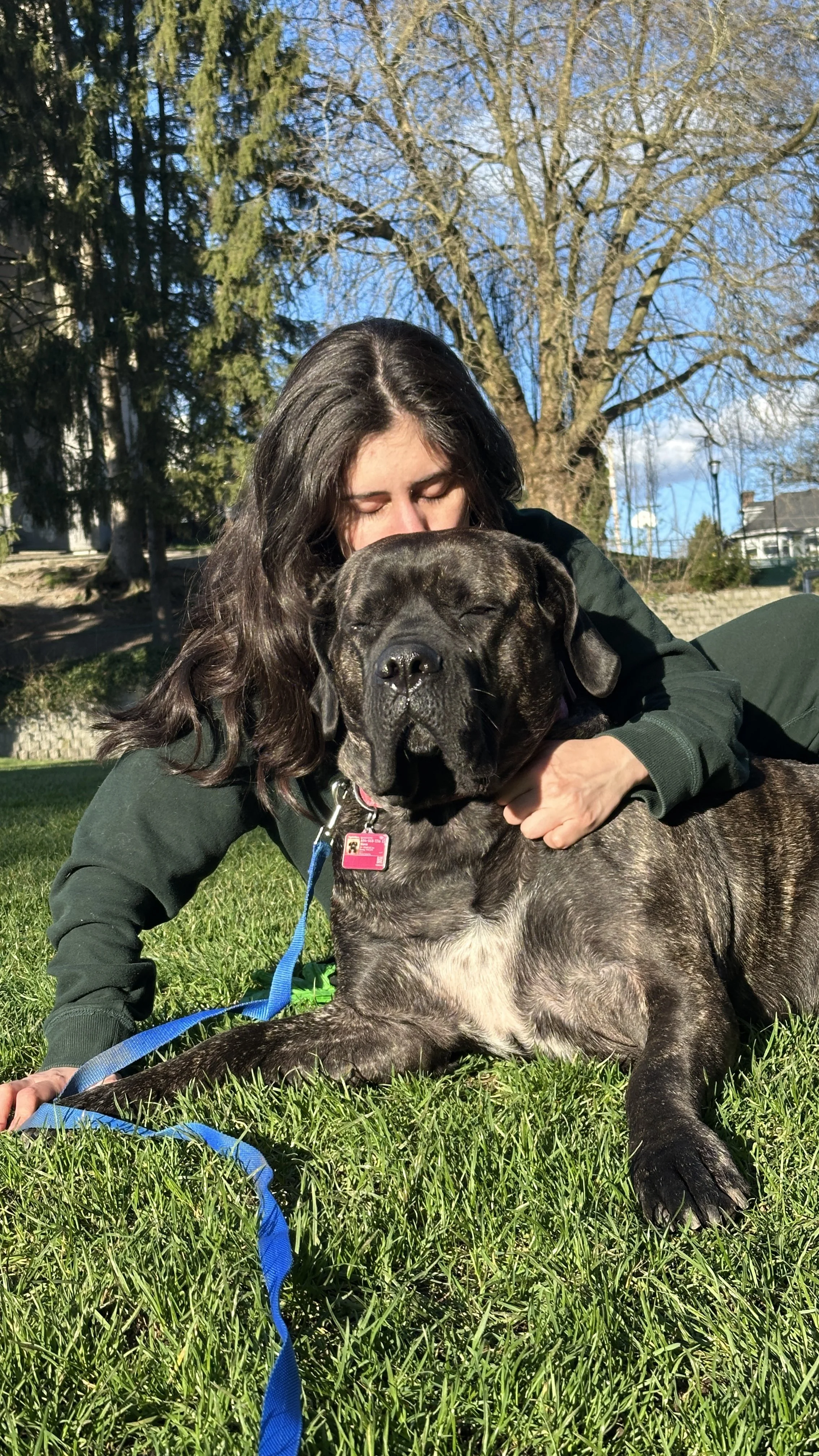 uma mulher de cabelo castanho escuro e cabelo ondulado vestindo roupa preta está abraçando um cachorro de pele curta, de cor preta e cinza, que está deitado na grama ao ar livre em um dia ensolarado. Árvores e uma casa podem ser vistas ao fundo.