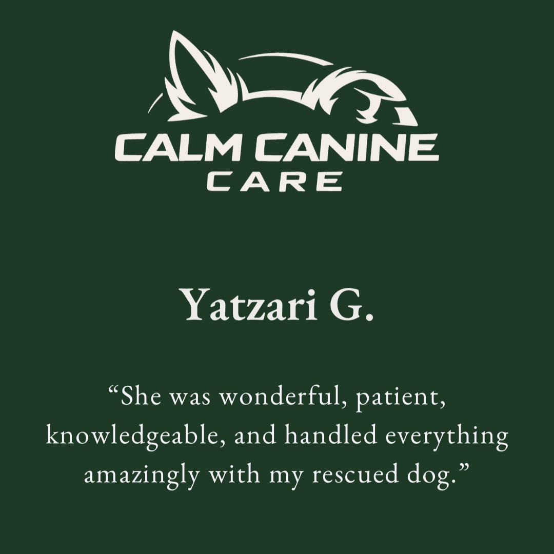 Logotipo de Calm Canine Care com uma ilustração de uma cabeça de cão e texto em branco sobre fundo verde, incluindo o nome Yatzari G. e uma avaliação positiva sobre o cuidado com cães.