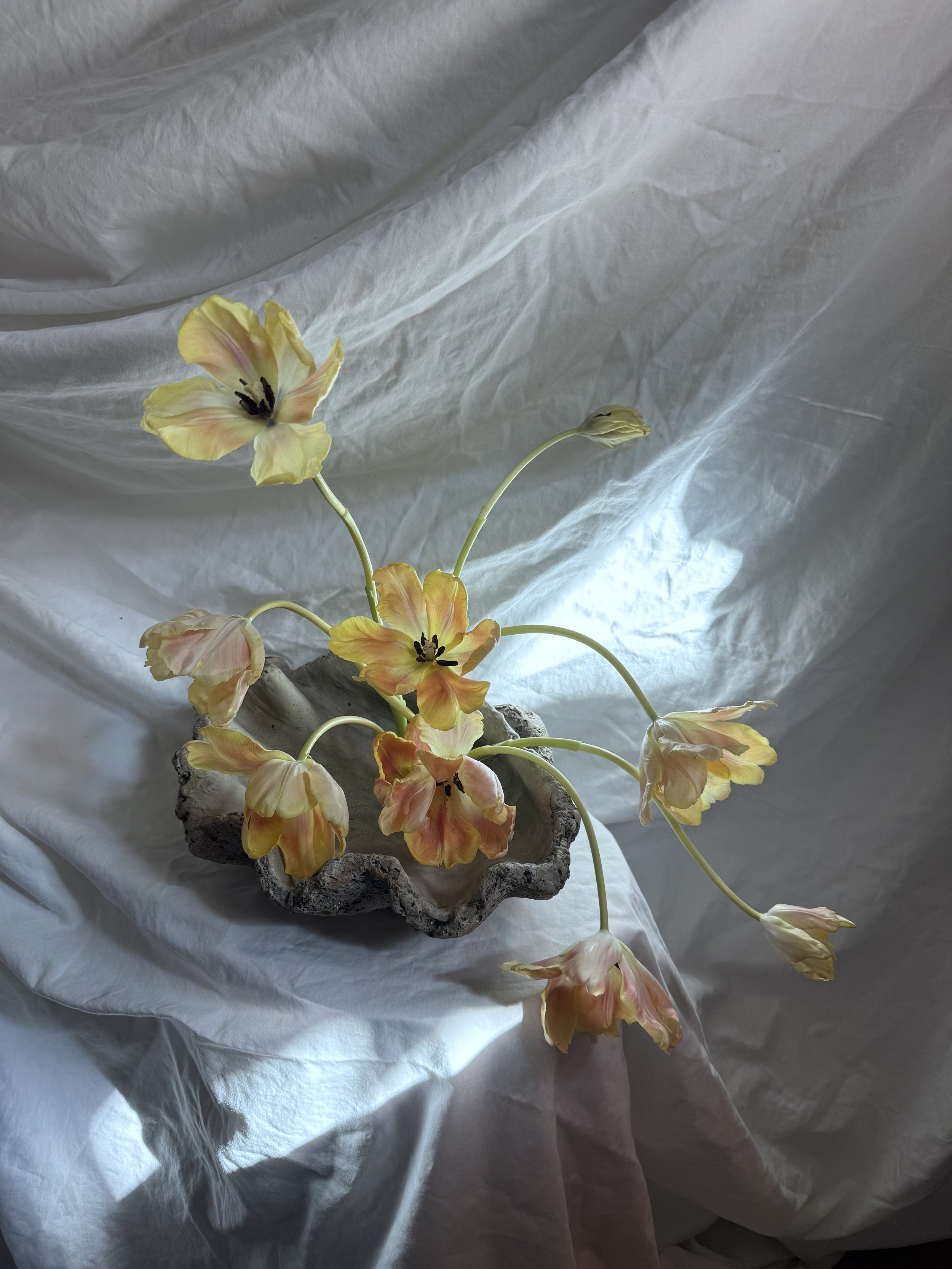 Yellow and peach-colored flowers with dark stamens in a gray textured pot, placed on crumpled white fabric background.