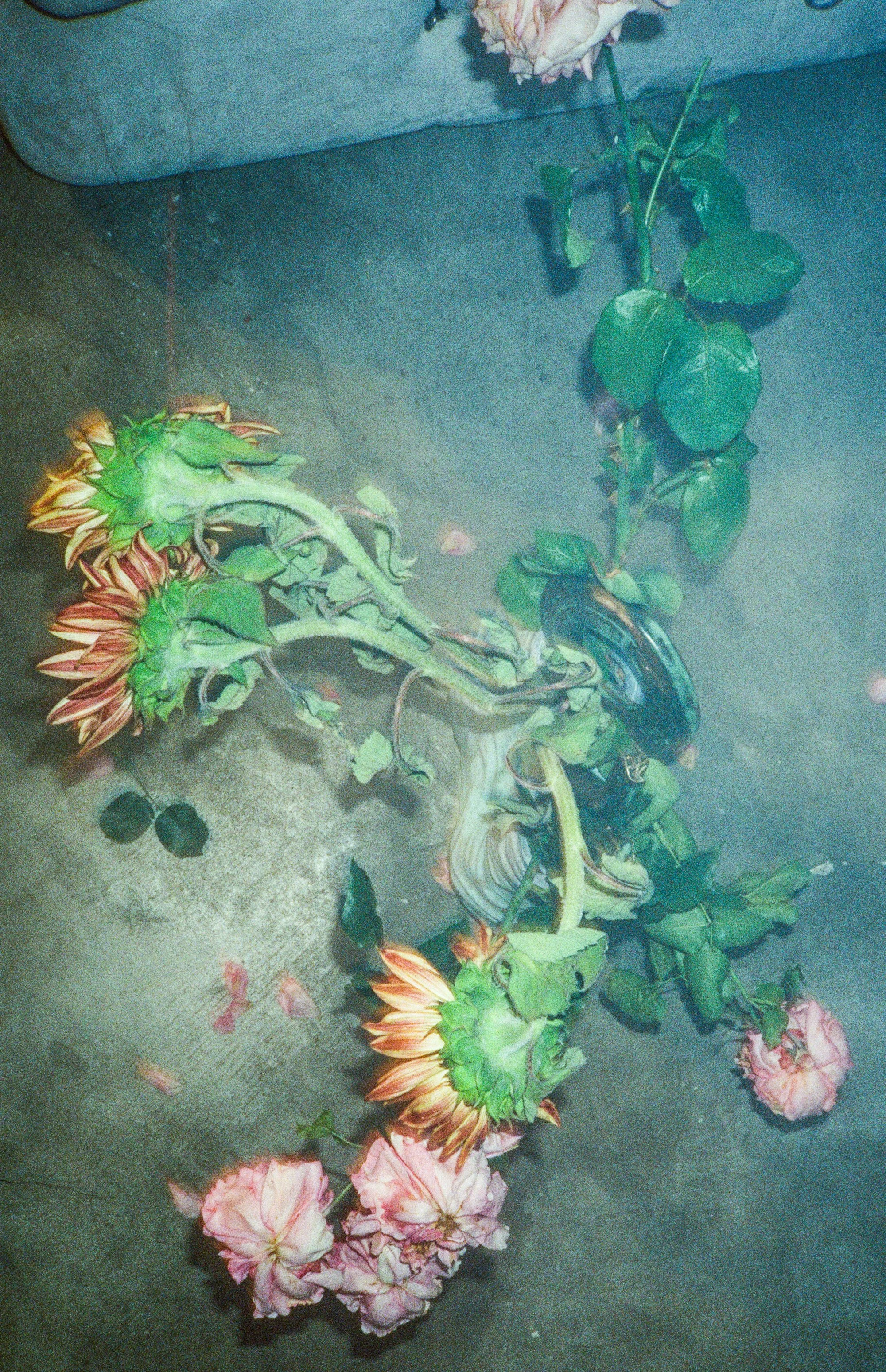 Secret Flower Show