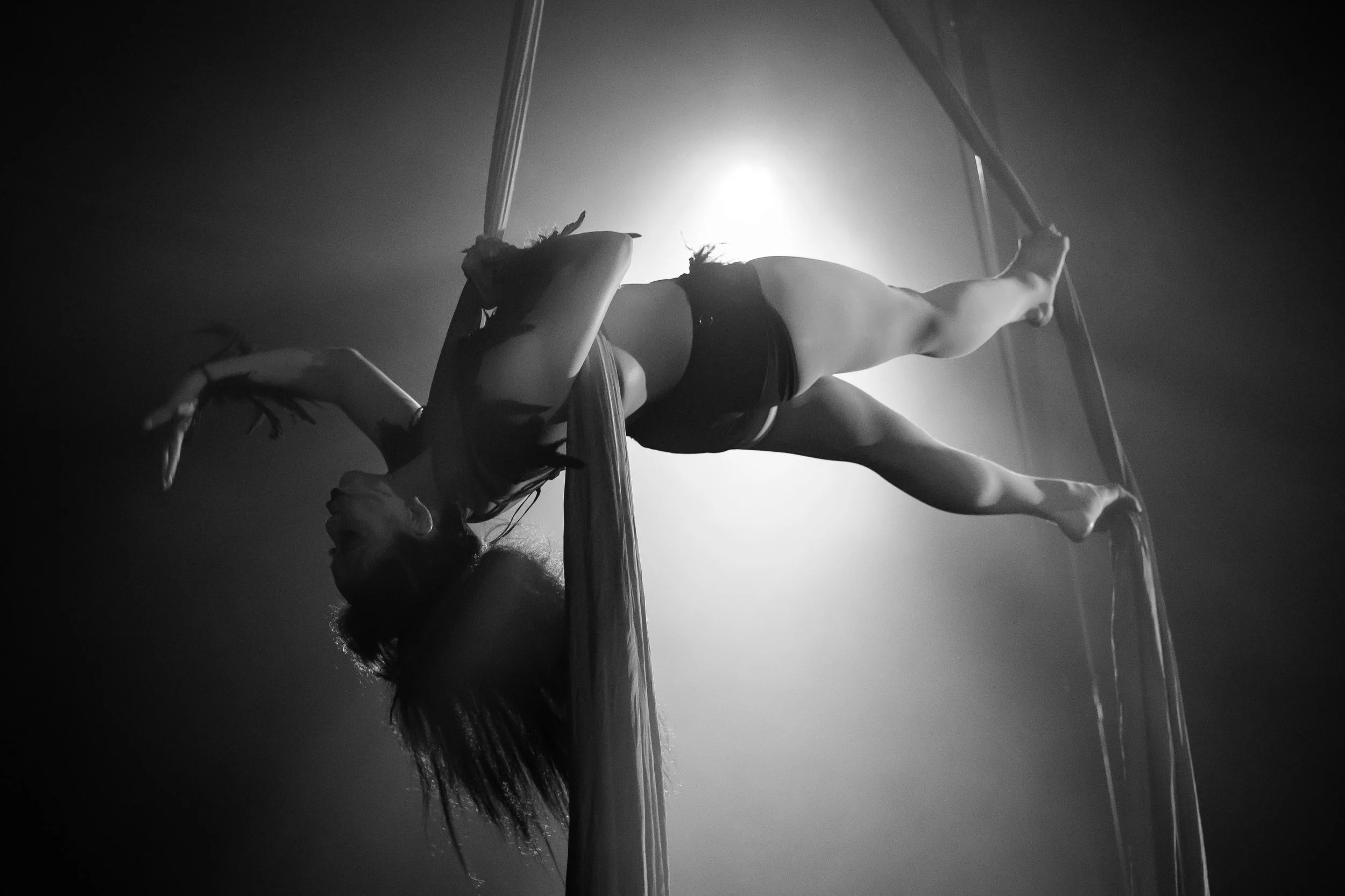 Aerial Silks