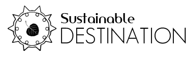 Simple black and white drawing of a sun with a smiling face, surrounded by sun rays, and a small flower in the center.