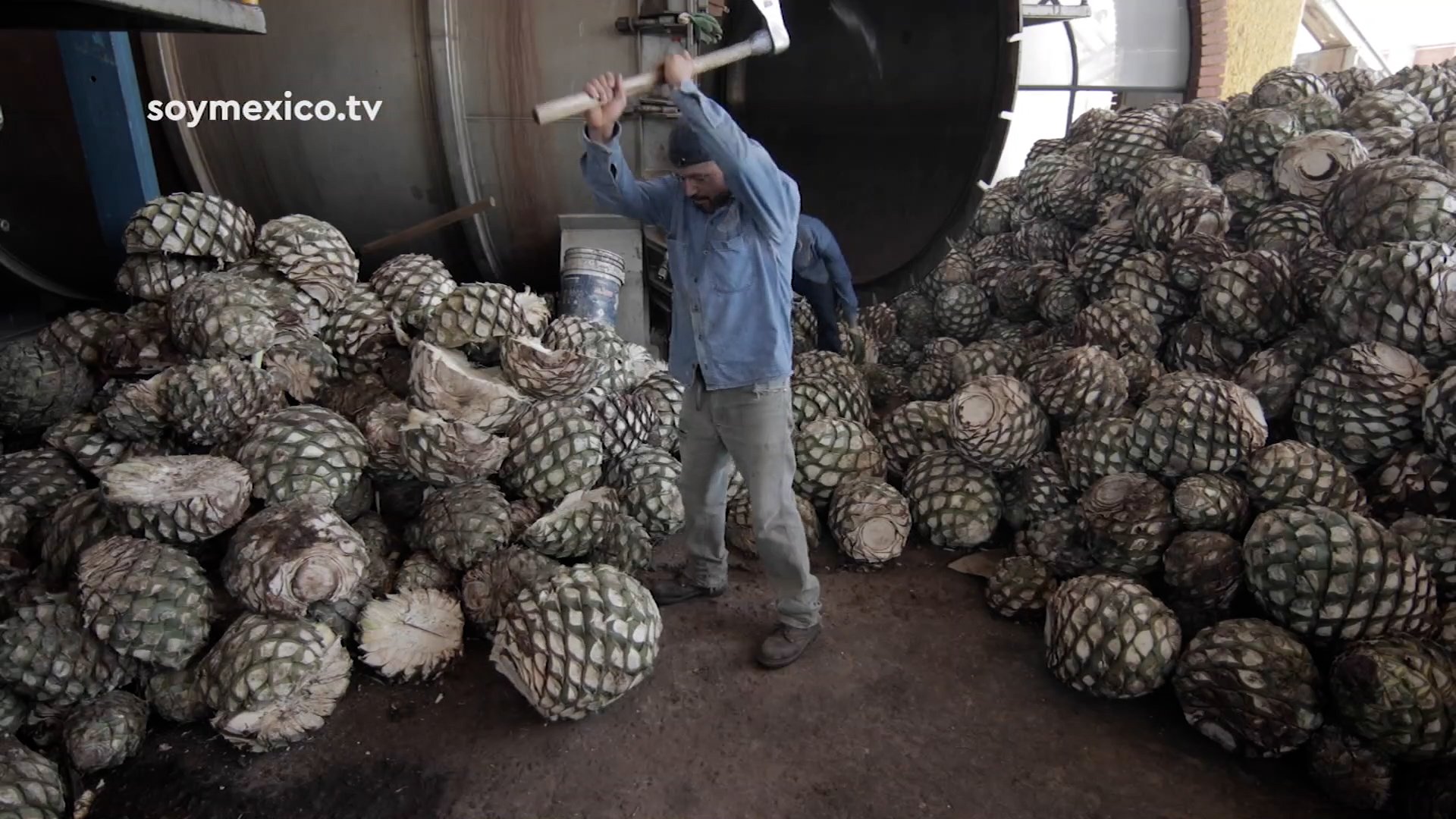 ecogenios_ep._4_bioplastic_from_tequila_waste_v1 (1080p).mp4.00_03_30_05.Still006.jpg