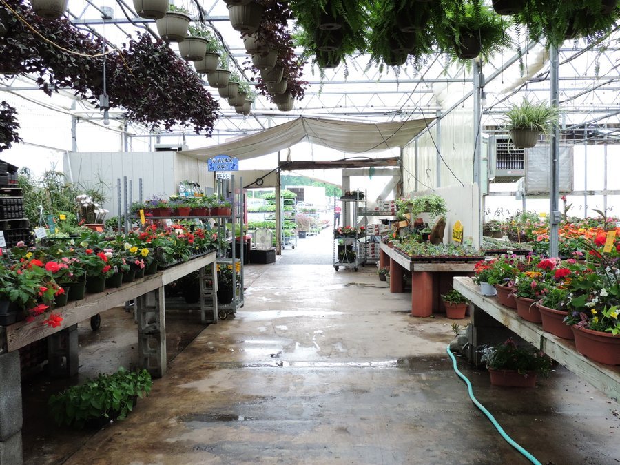 2015-06-12_038.jpg