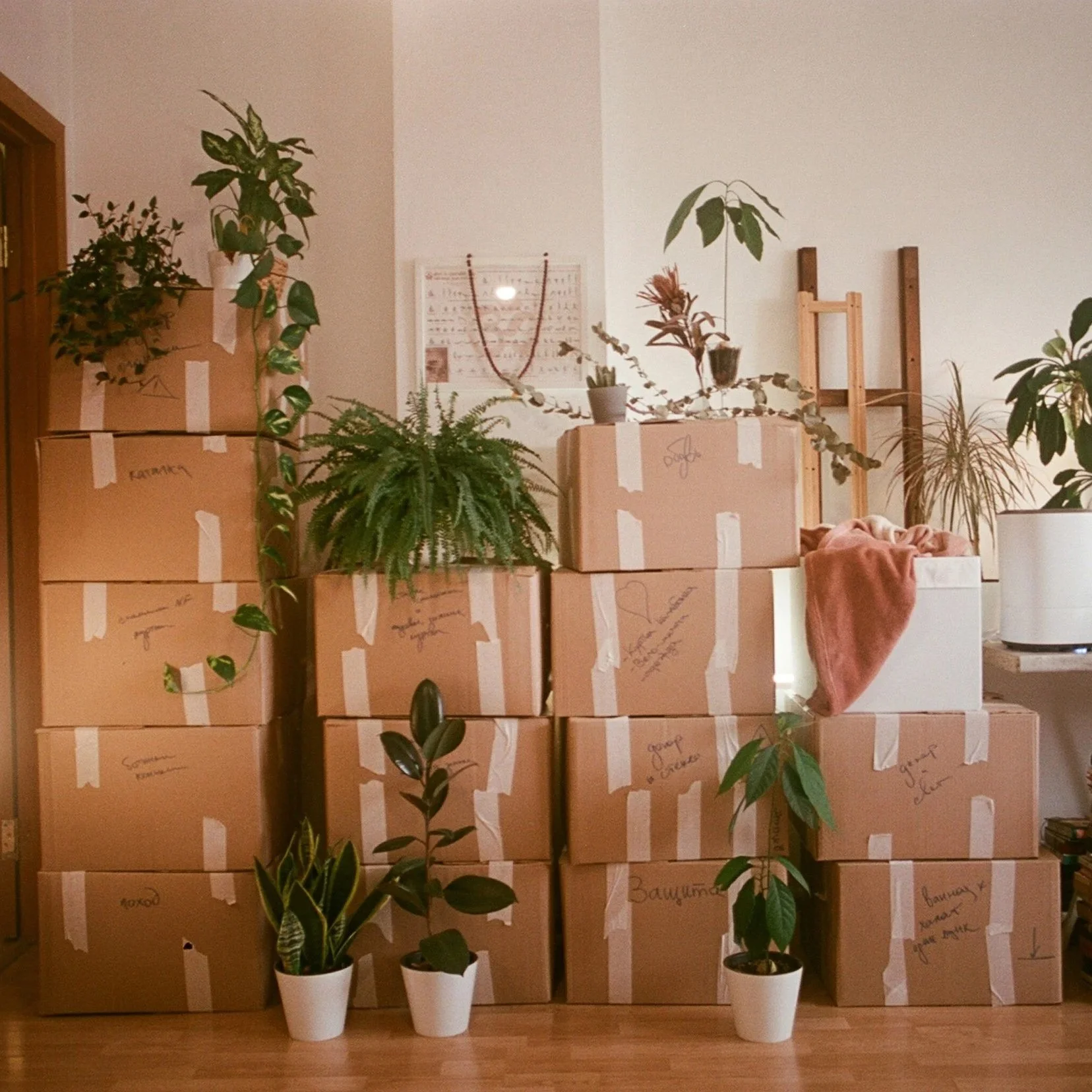The In-Between: Learning to Navigate Transitions