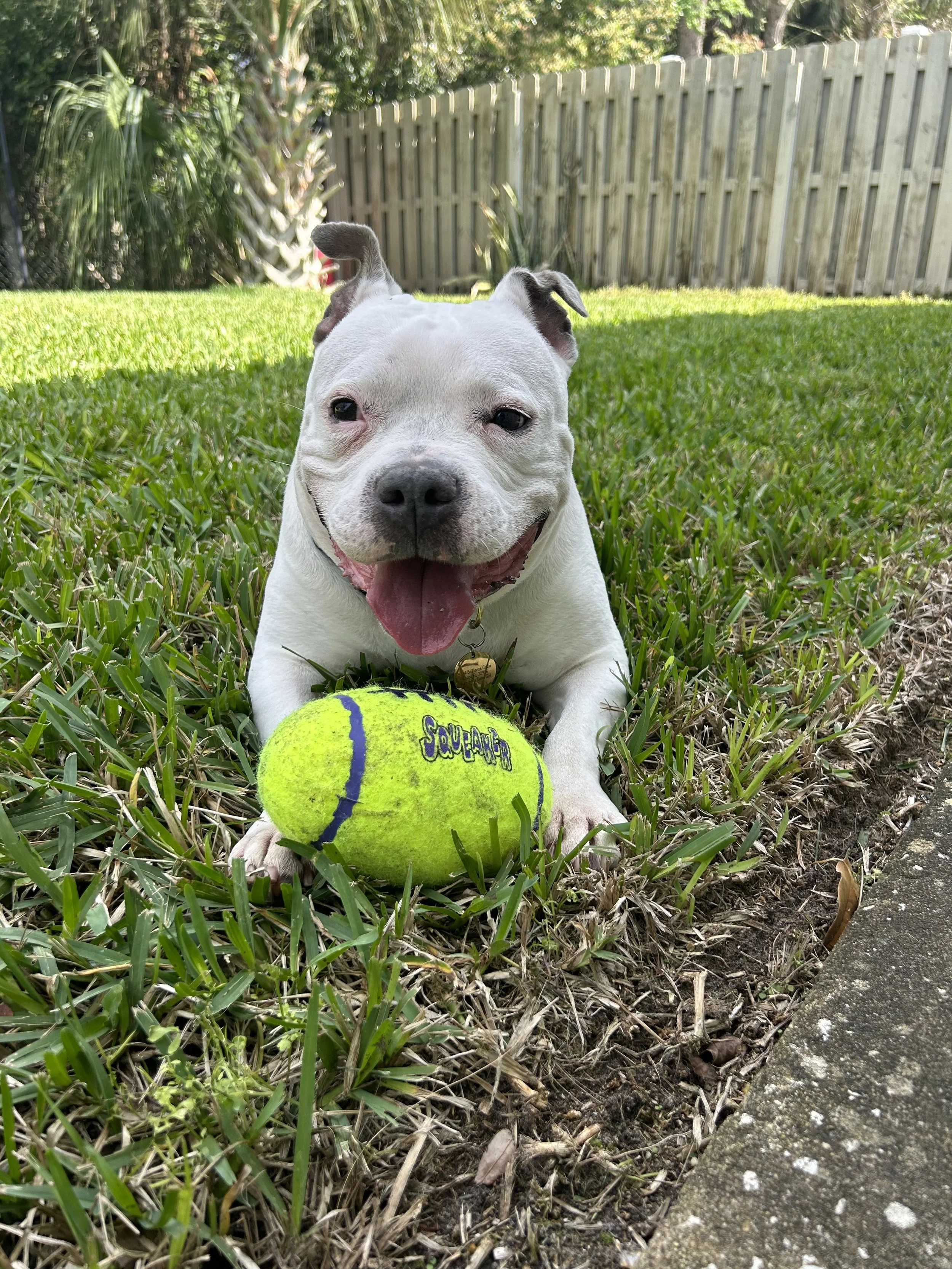 Warm and inviting therapy lounge in Orlando, Florida with soft decor