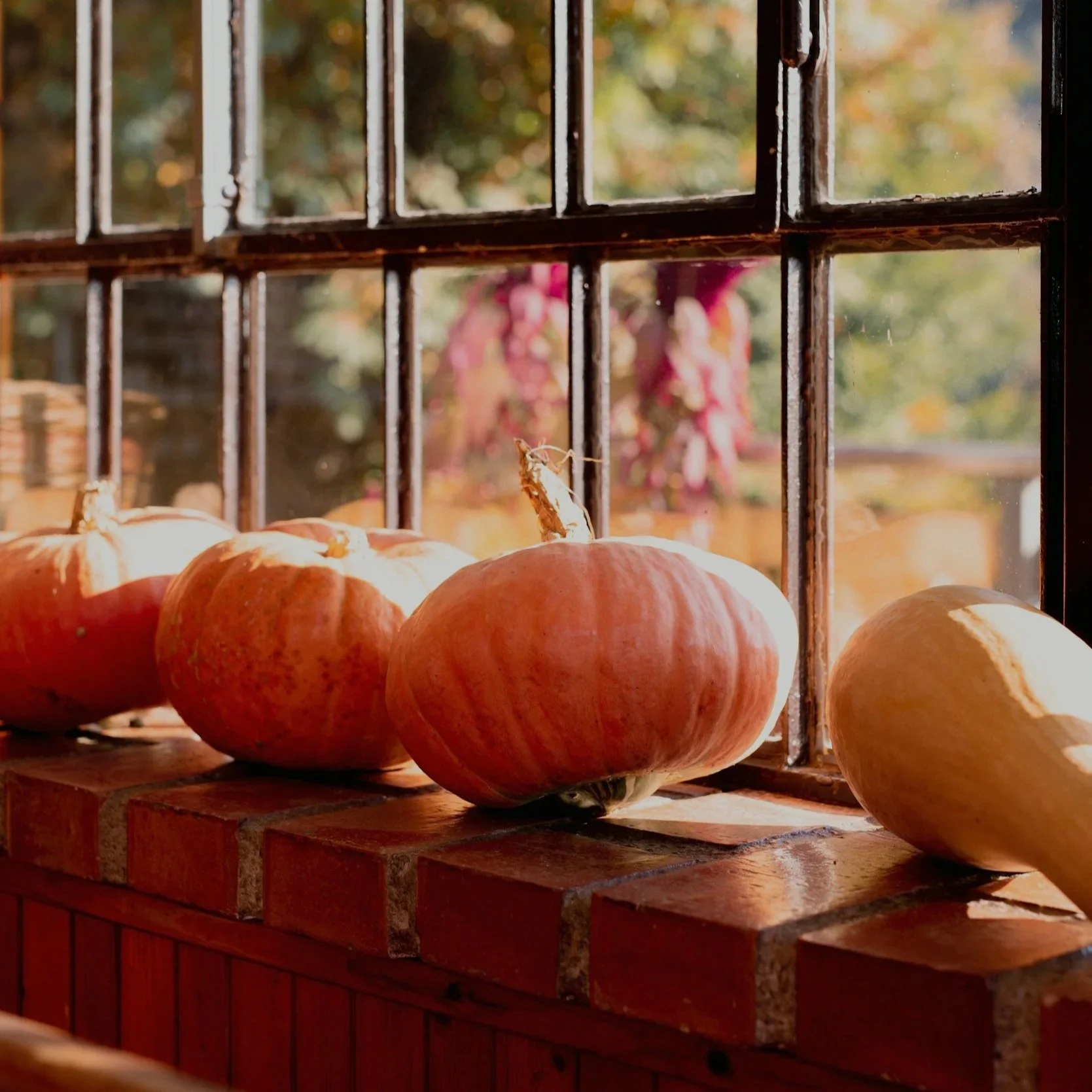 October Reflections: Holding onto Intuitive Eating Through Halloween
